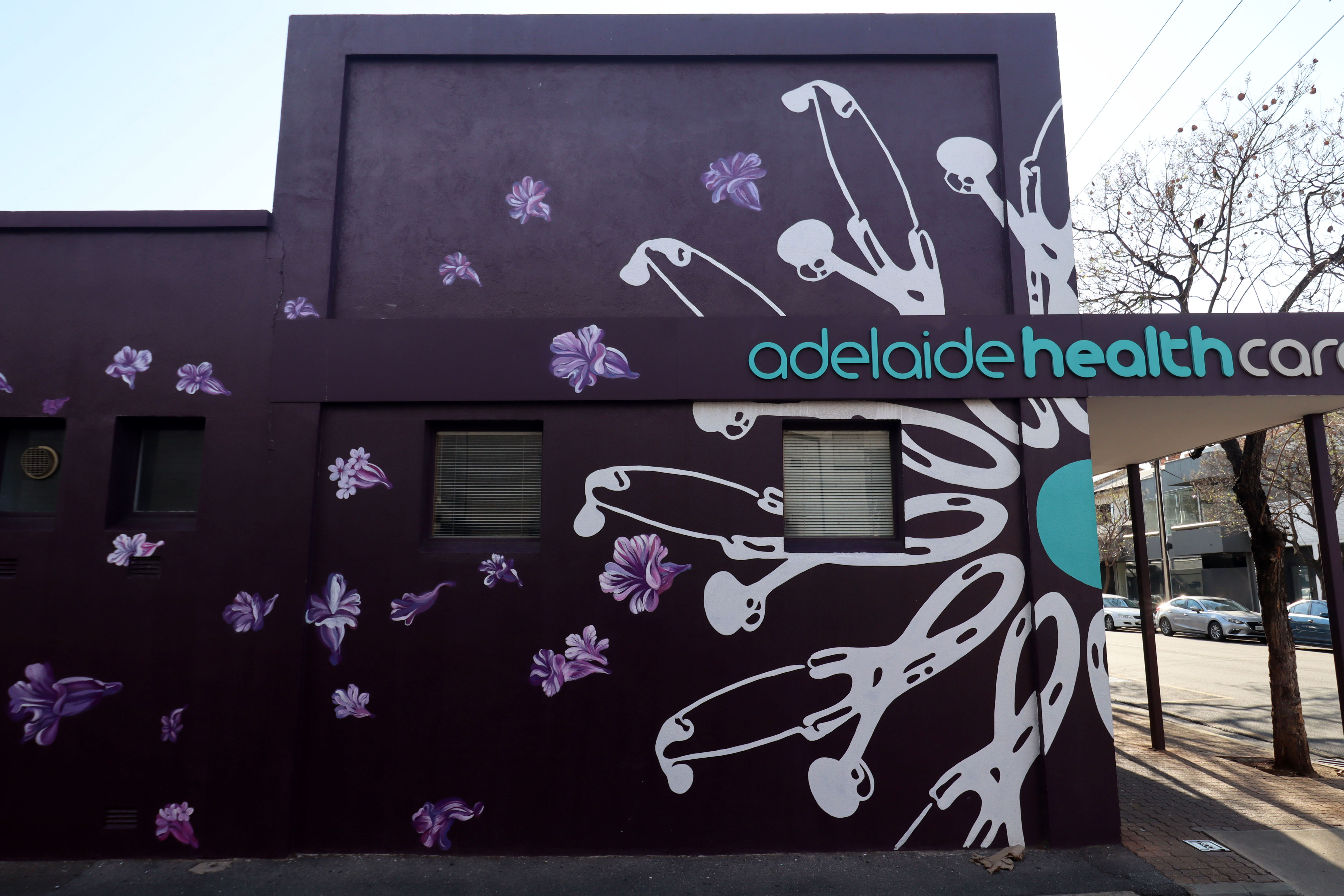 Adelaide Healthcare