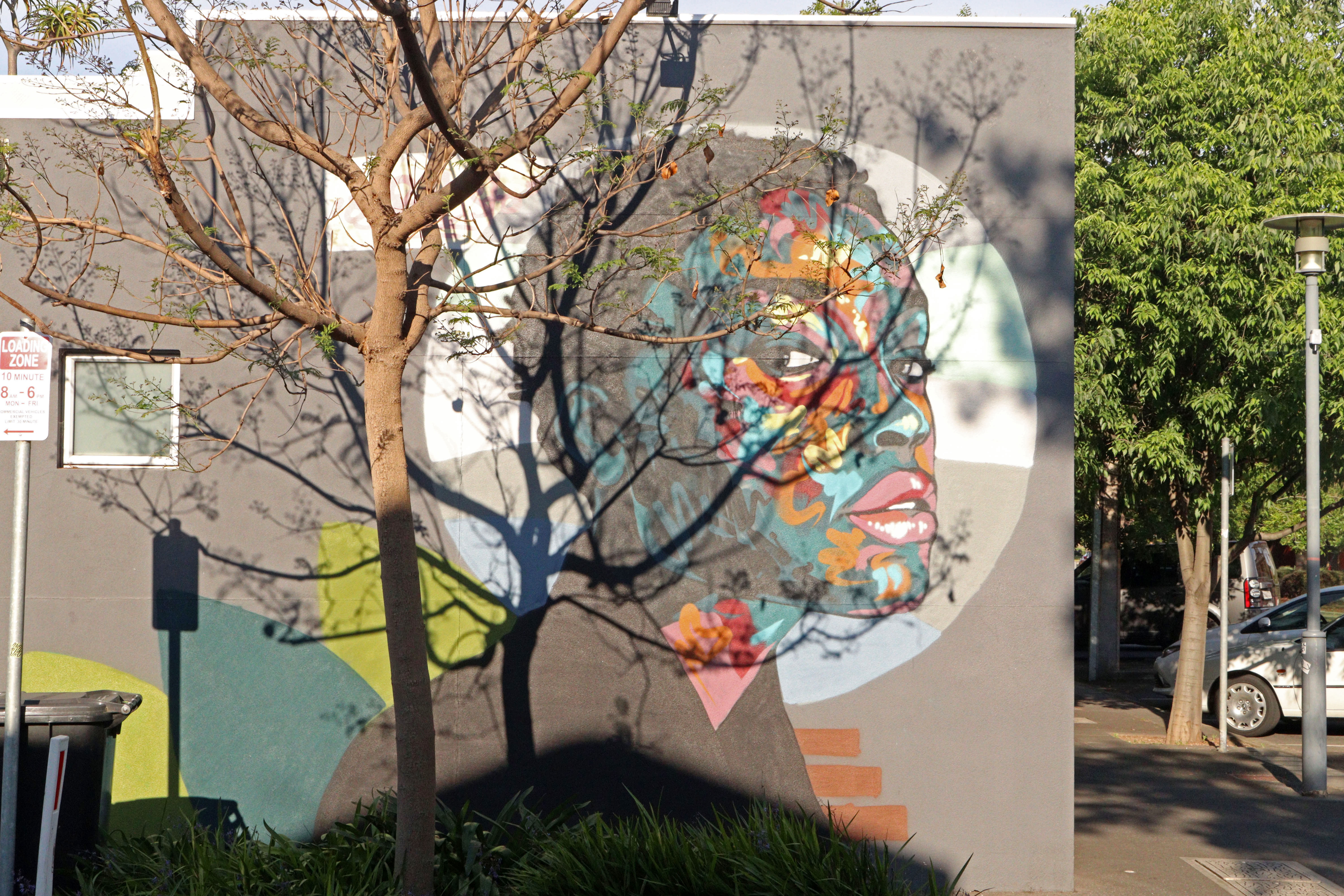 Untitled by Skumbuzo Salman | Street Art NSW