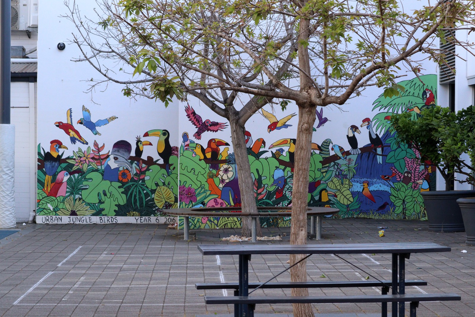 Urban Jungle Birds by Pulteney Grammar School | Street Art NSW