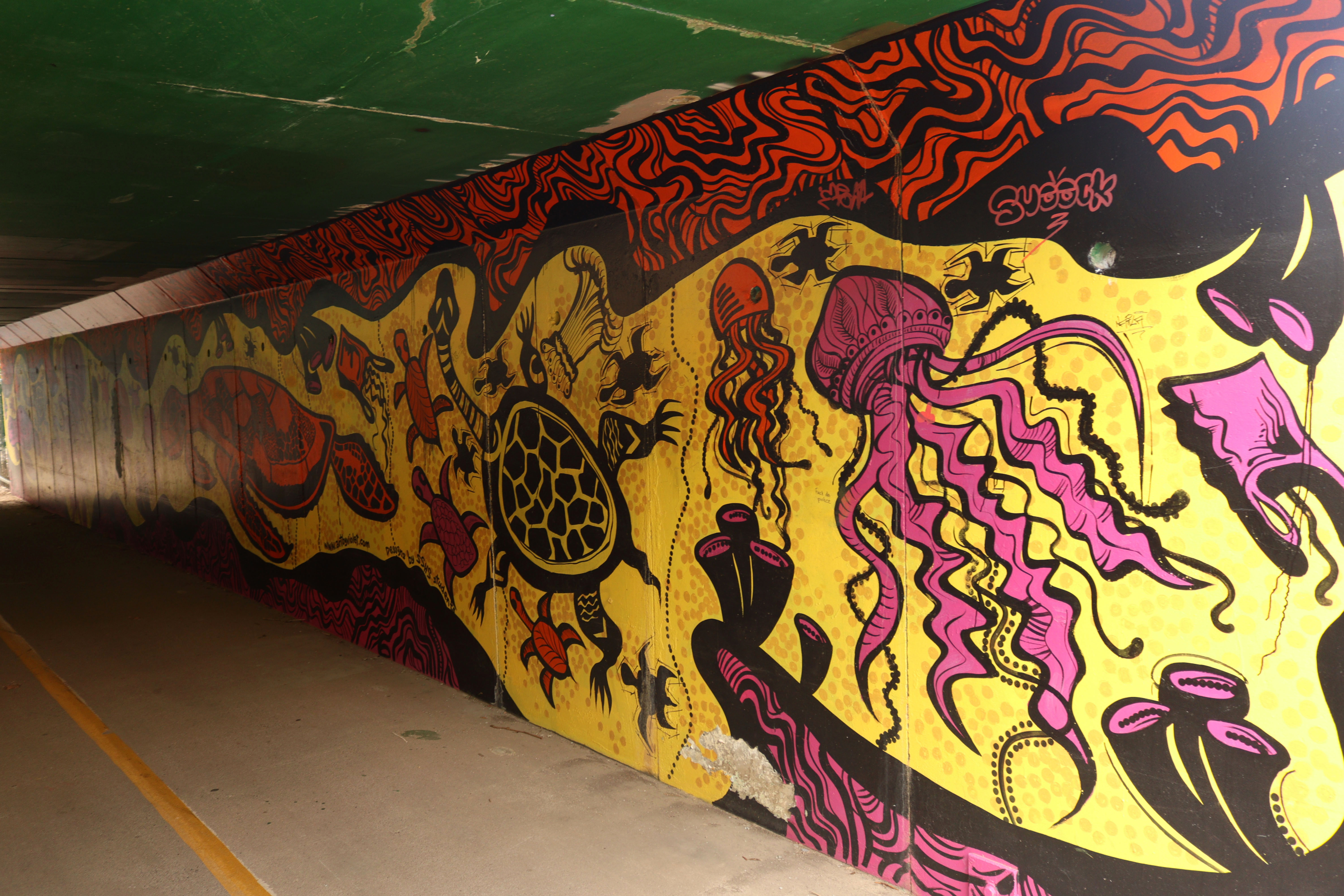 Marine Migration Through the Underpass by Violet Shaban | Street Art NSW