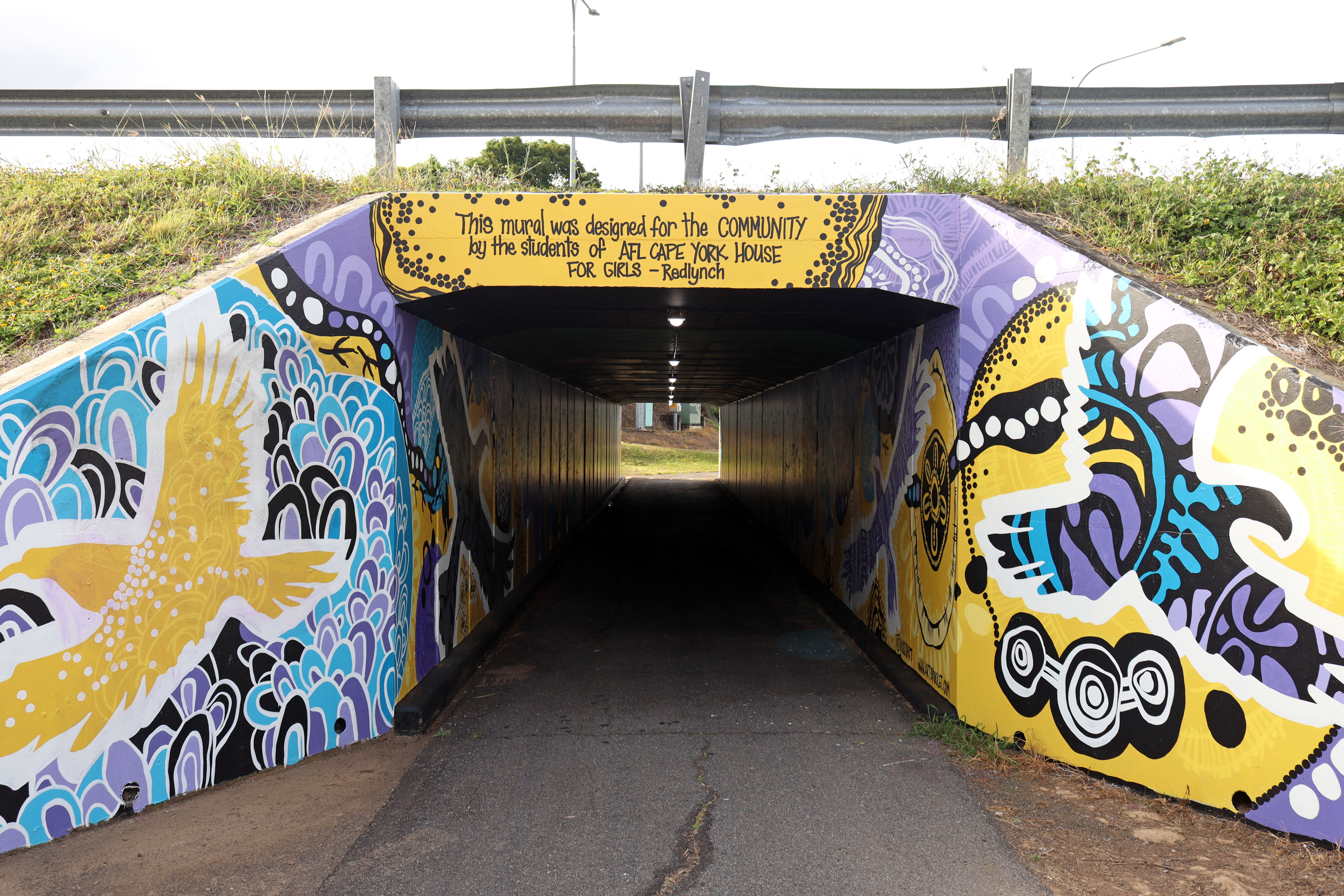 Redlynch Underpass by Violet Shaban | Street Art NSW