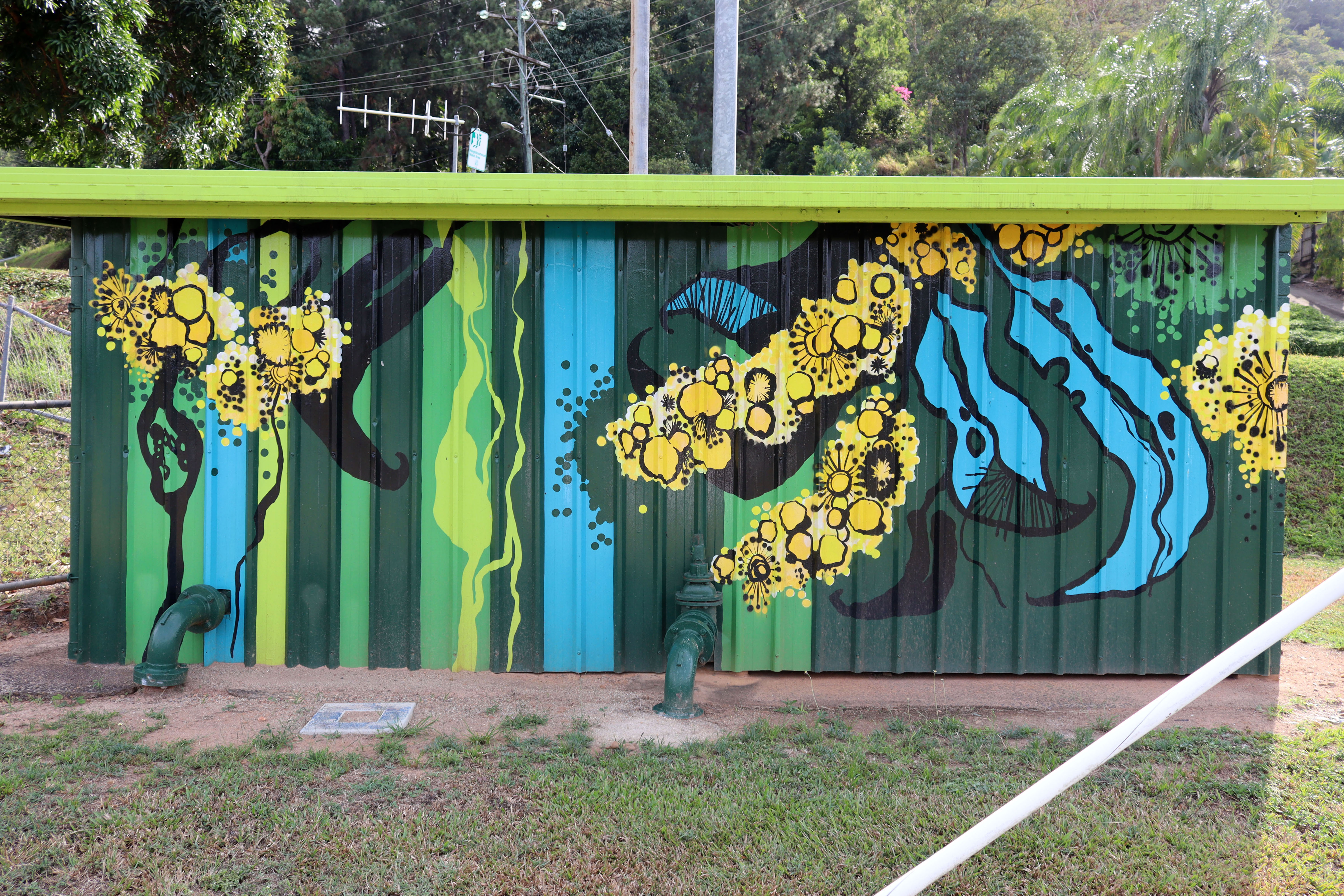Celebrating the Native by Violet Shaban | Street Art NSW