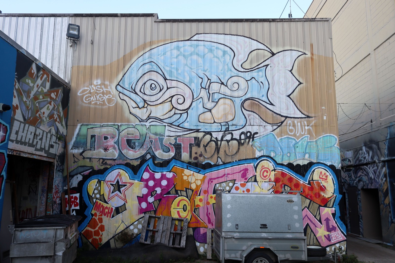 Big Fishy by Phibs | Street Art NSW