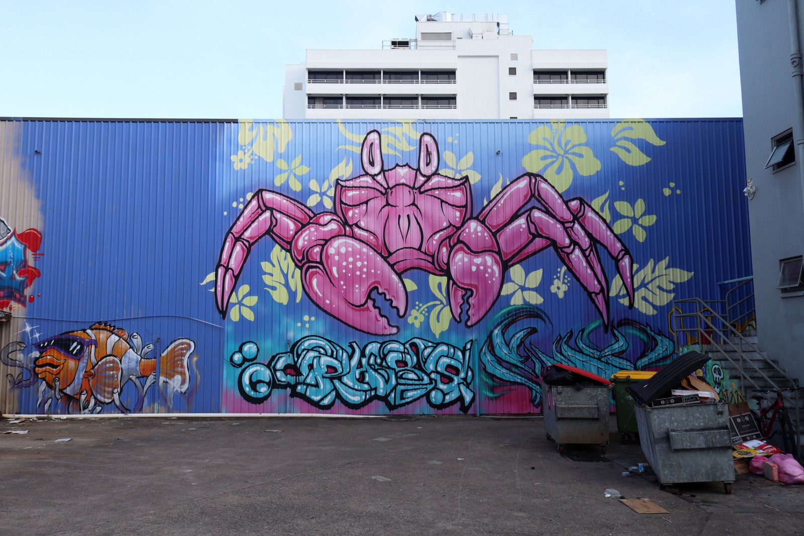 Grafton Street Laneway by Phibs | Street Art NSW