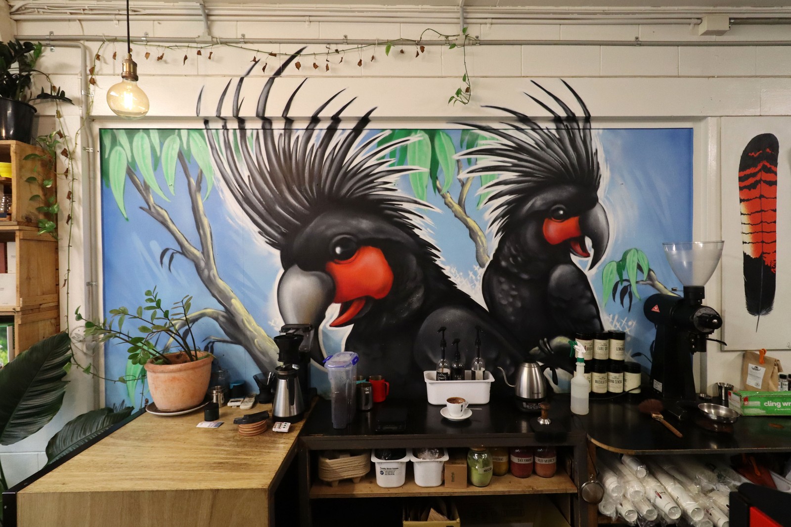 Blackbird Laneway by Daniel Wallwork | Street Art NSW