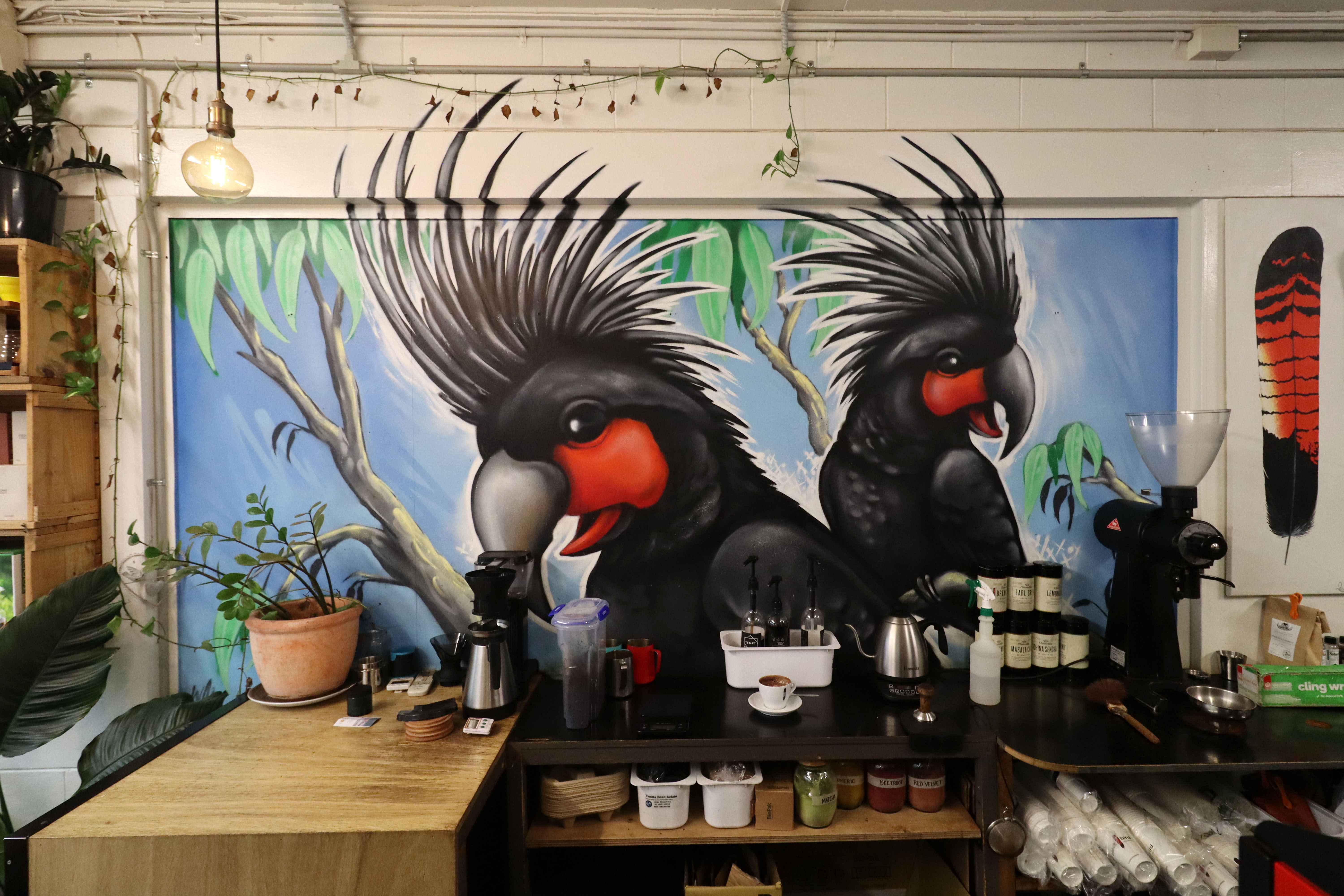 Blackbird Laneway by Daniel Wallwork | Street Art NSW