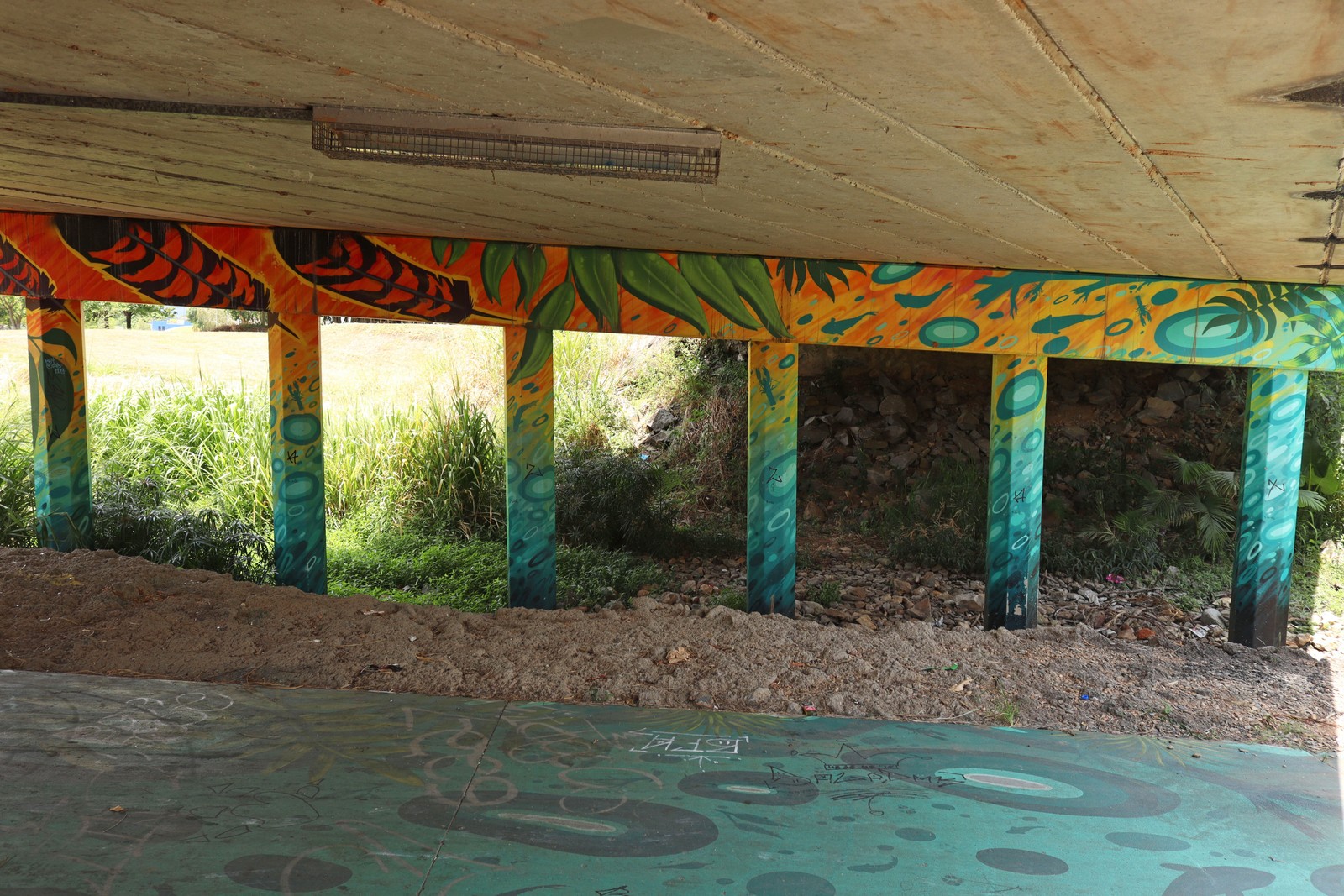 Gordon Creek Underpass by Daniel Wallwork | Street Art NSW