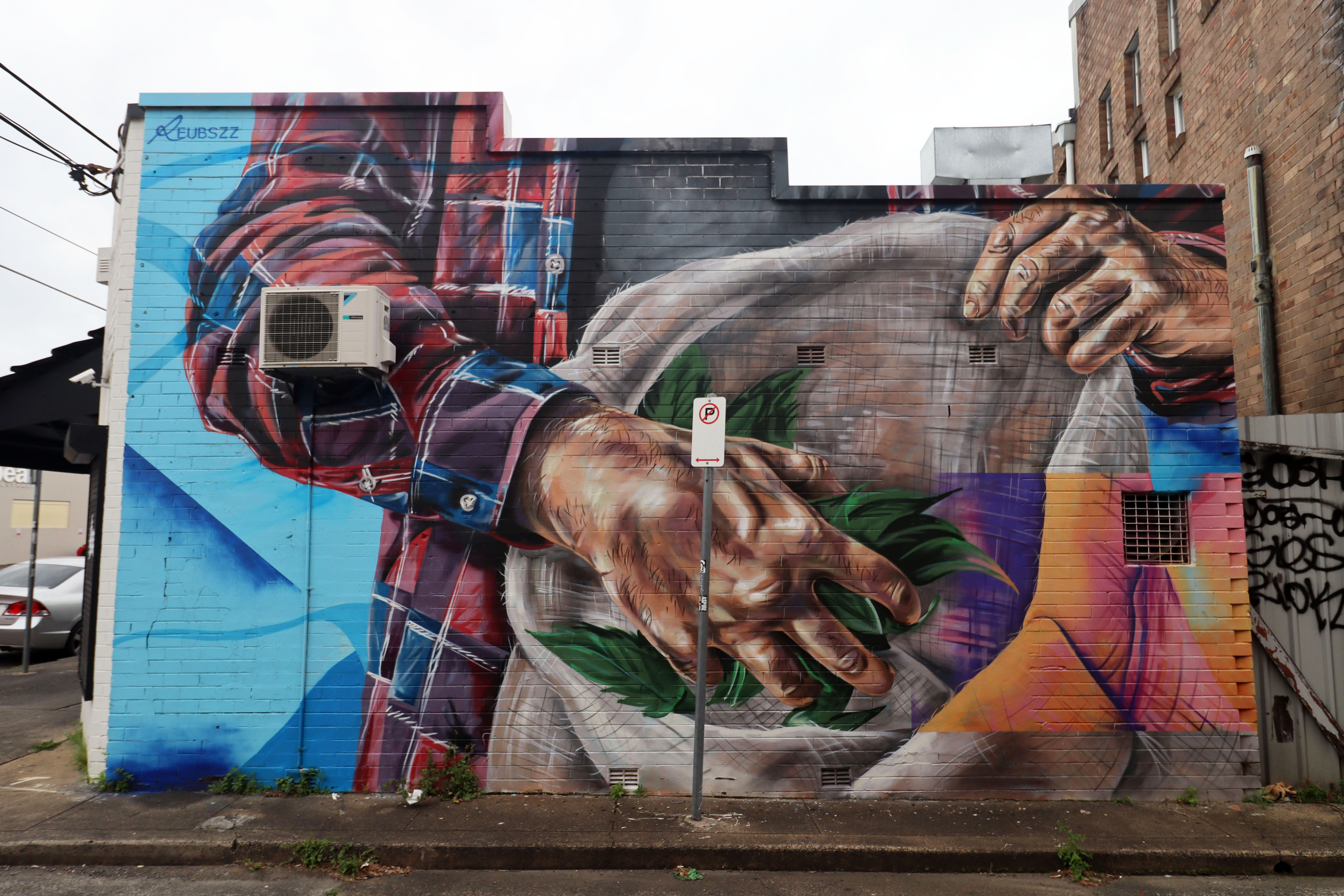 Cookie Jar by Reubszz | Street Art NSW