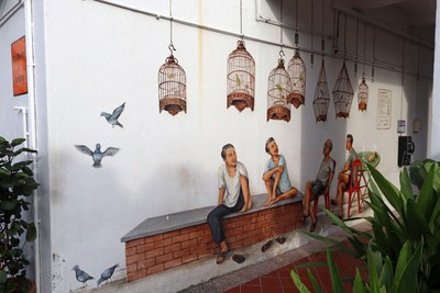 Bird Singing Corner