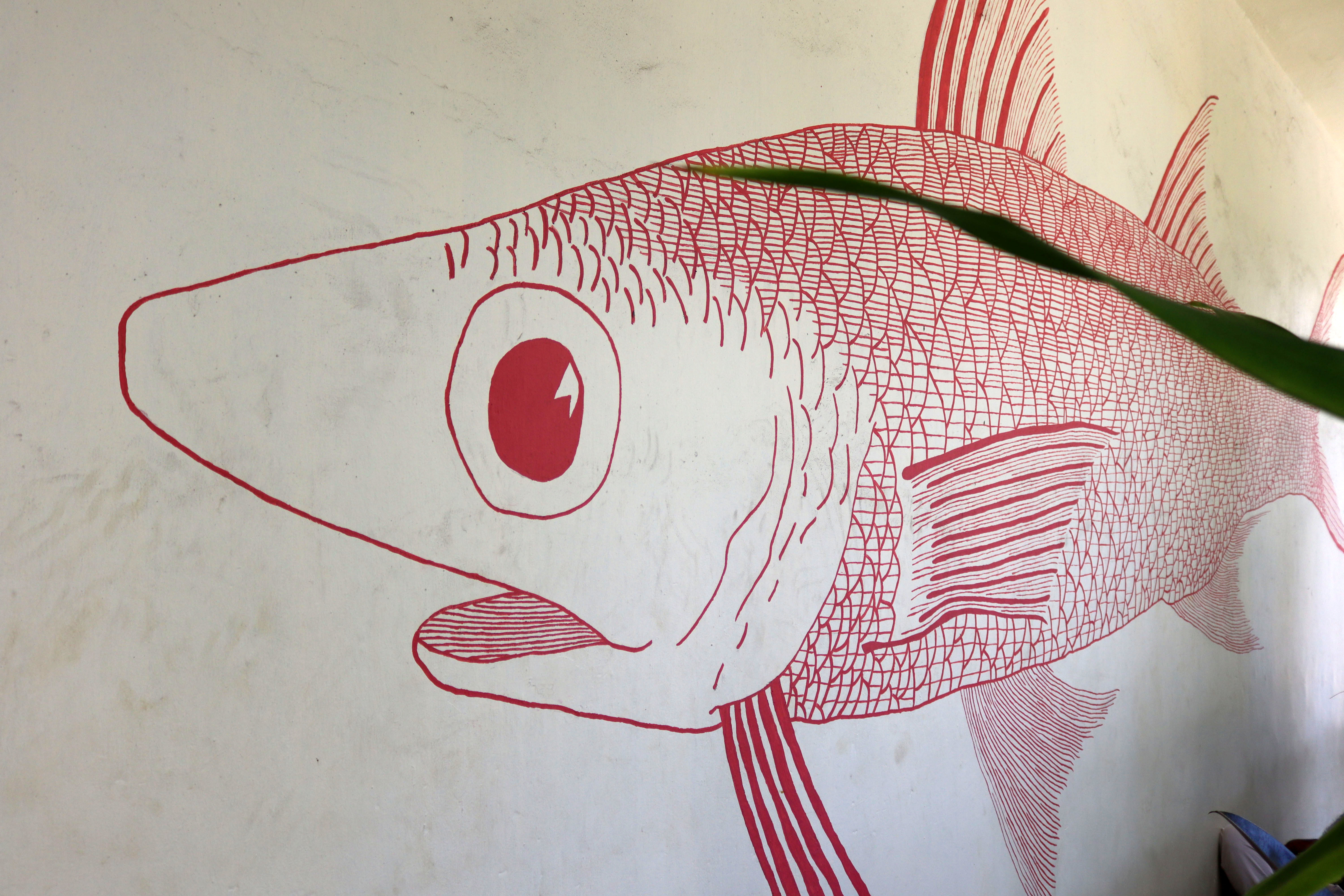 Untitled | Street Art NSW
