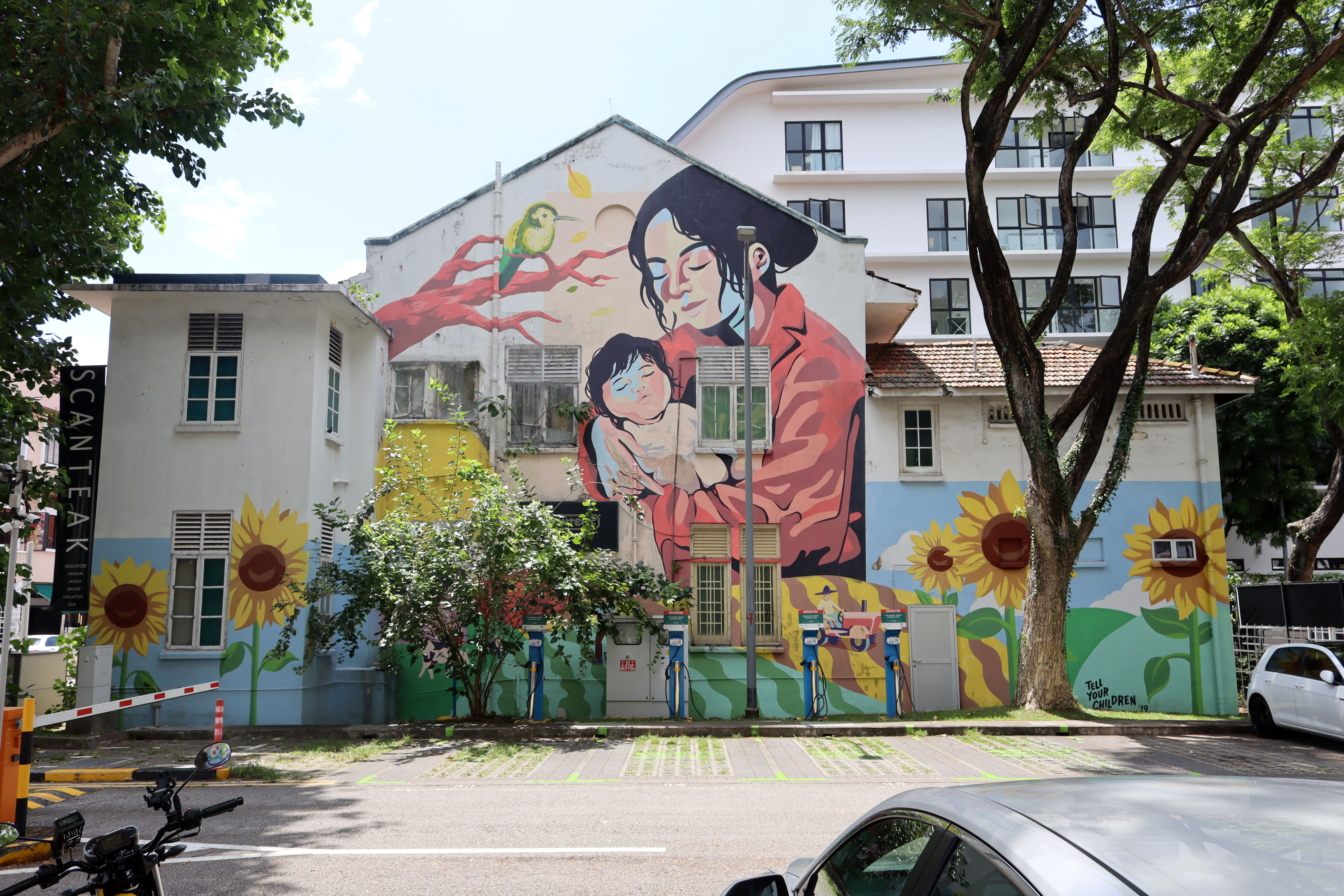 A History of Healing by Tell Your Children | Street Art NSW