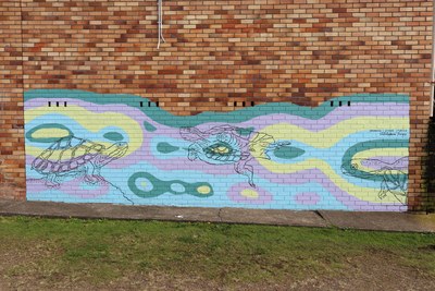 Manning River Turtles