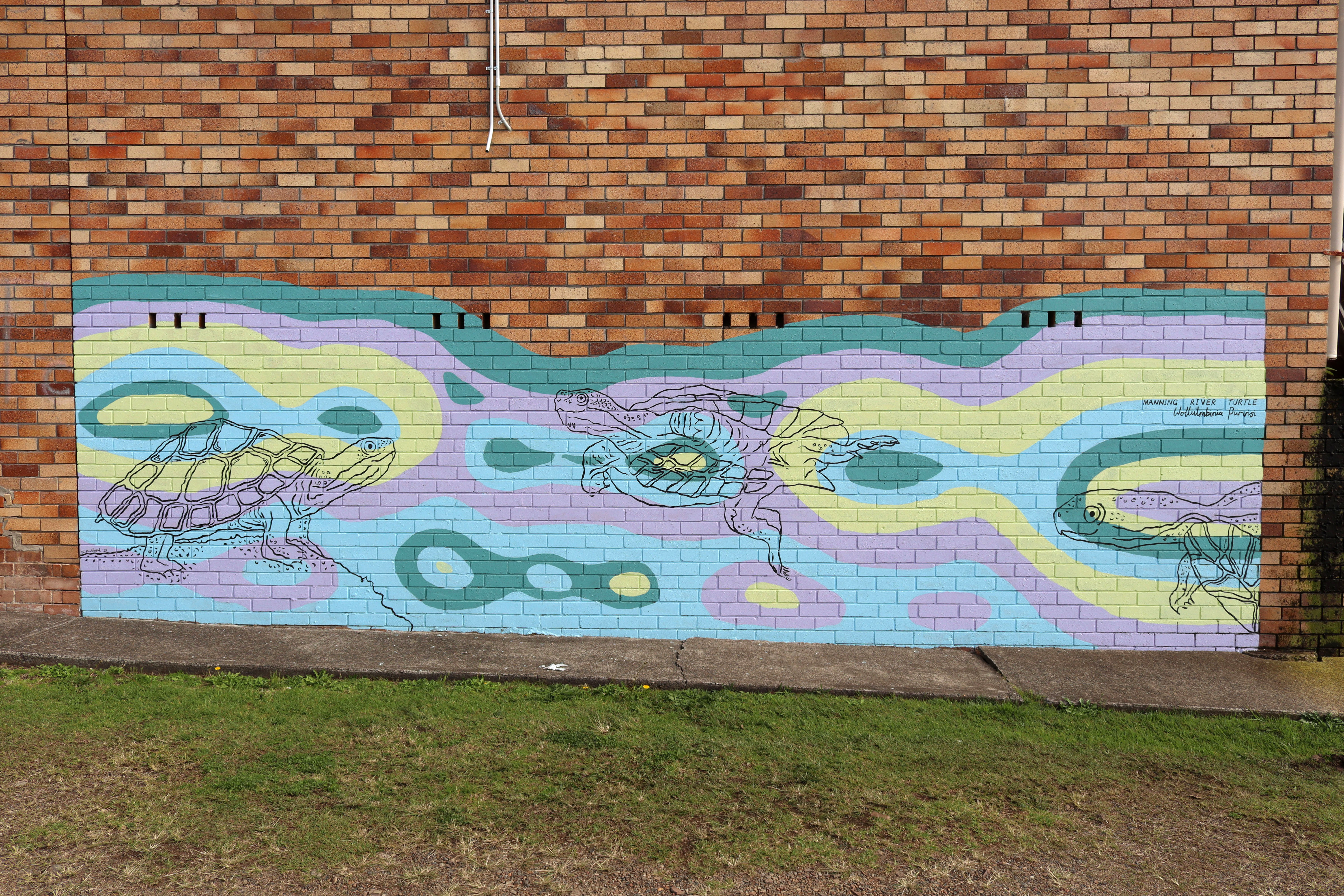 Manning River Turtles by E.Rose Art | Street Art NSW