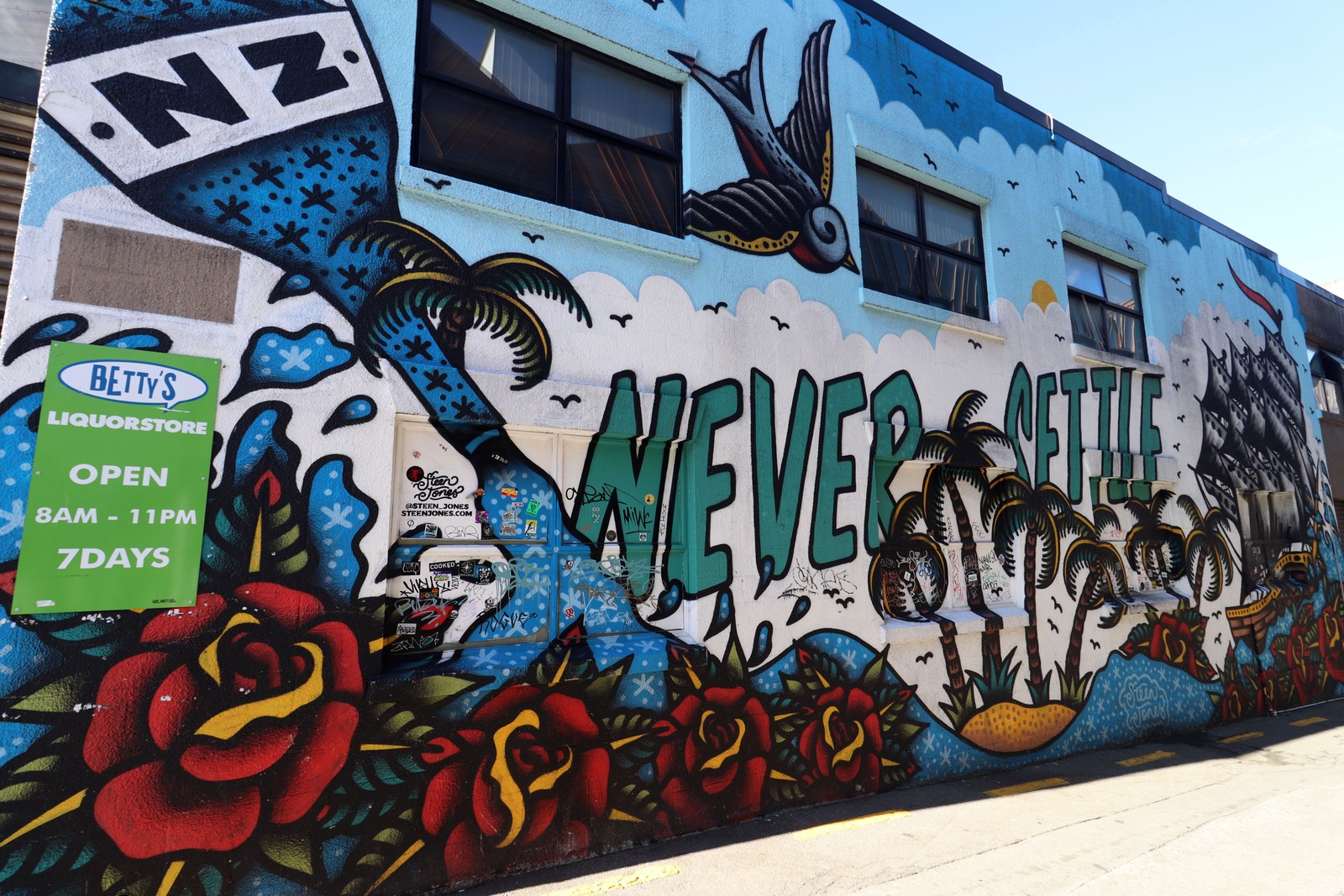 Never Settle by Steen Jones | Street Art NSW