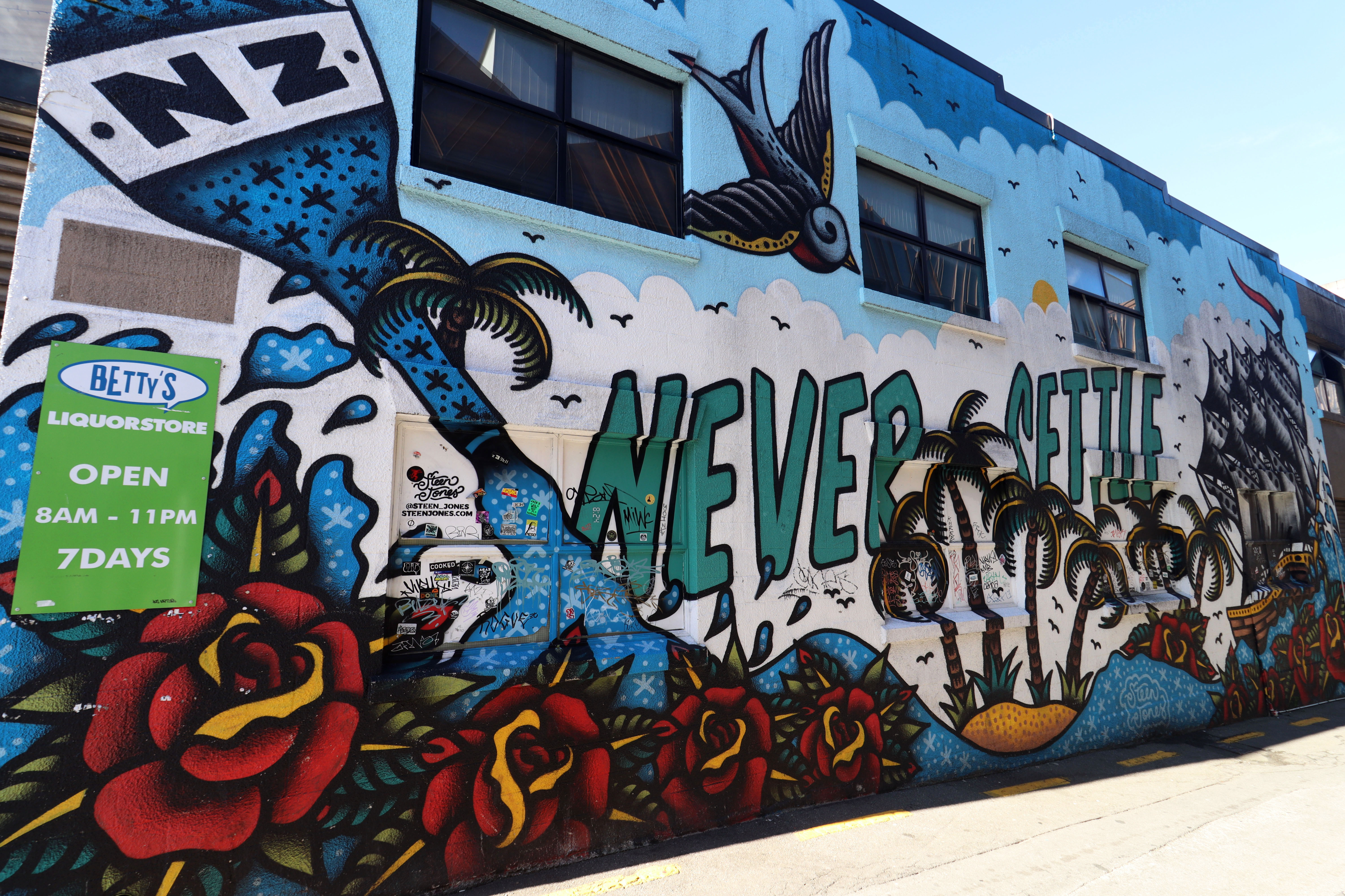 Never Settle by Steen Jones | Street Art NSW