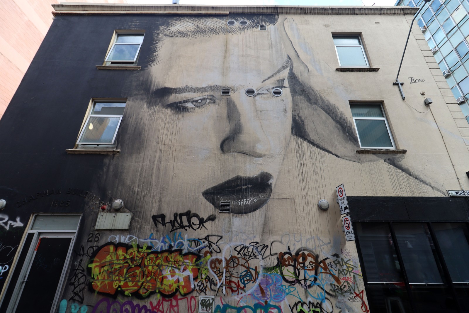 Untitled by Rone | Street Art NSW