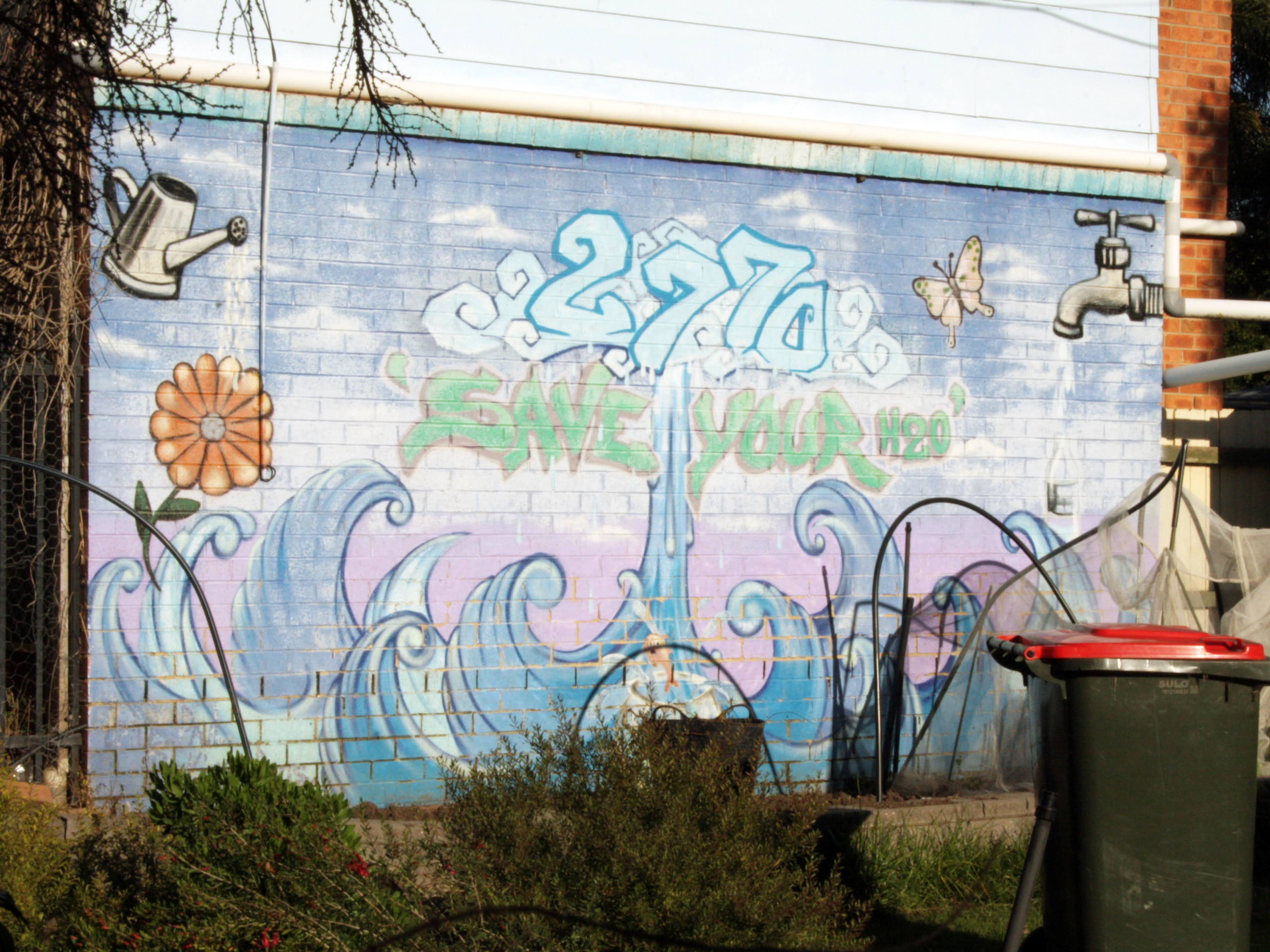 2770 Save Your H20 | Street Art NSW