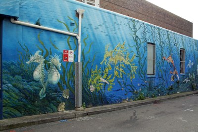 Seahorses and Sea Dragons