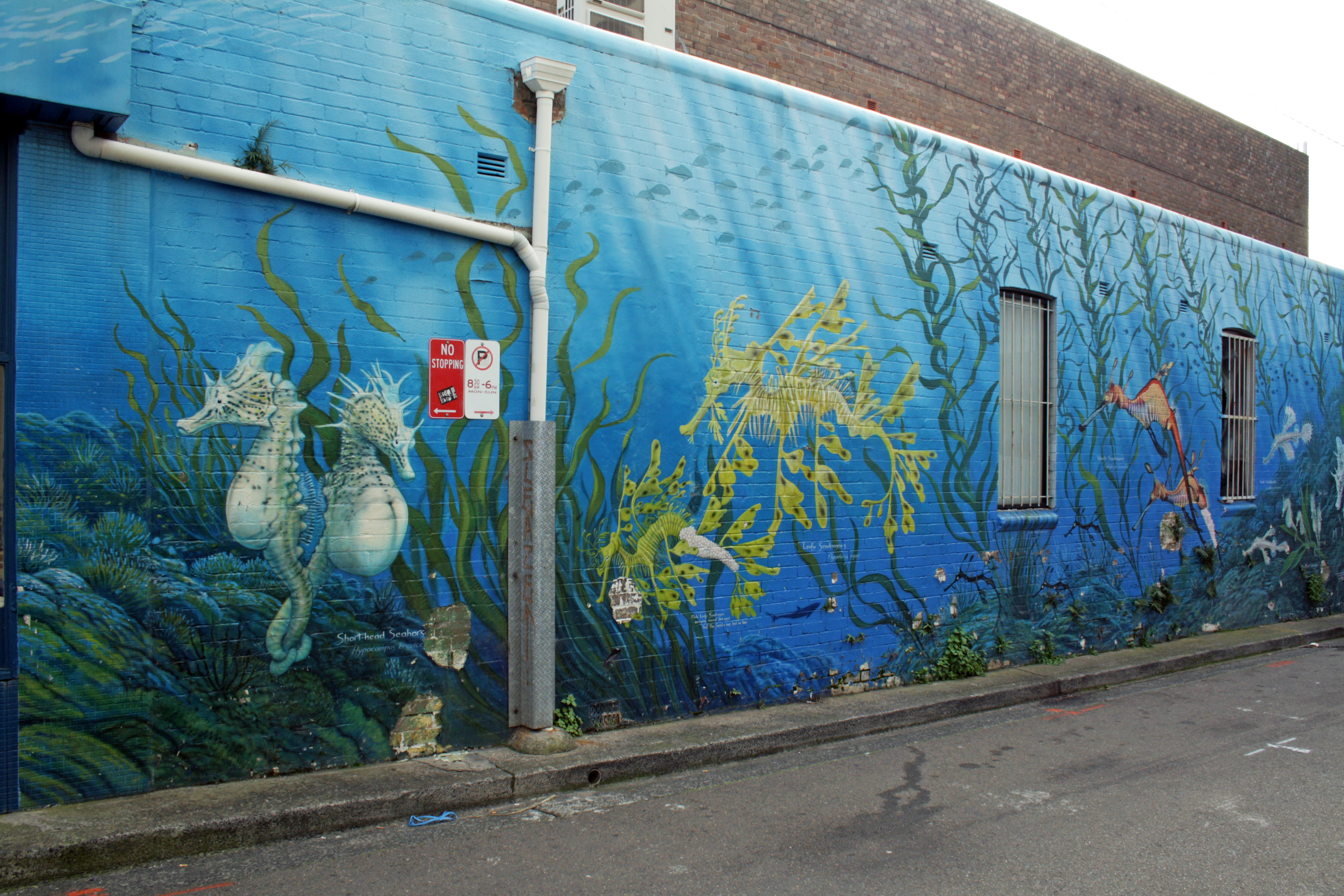 Seahorses and Sea Dragons by Robin Martin | Street Art NSW