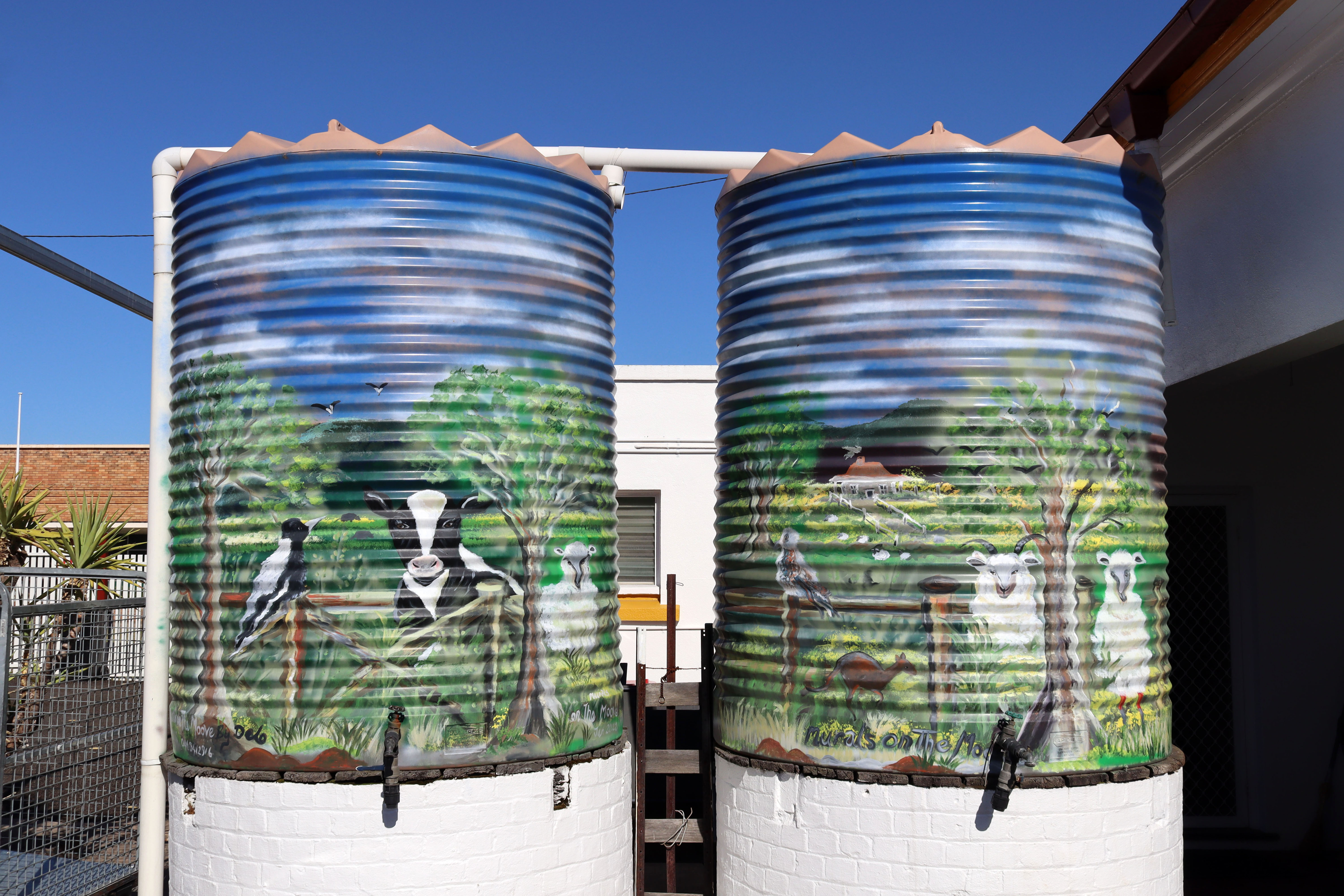 Untitled by Murals on the Moove | Street Art NSW