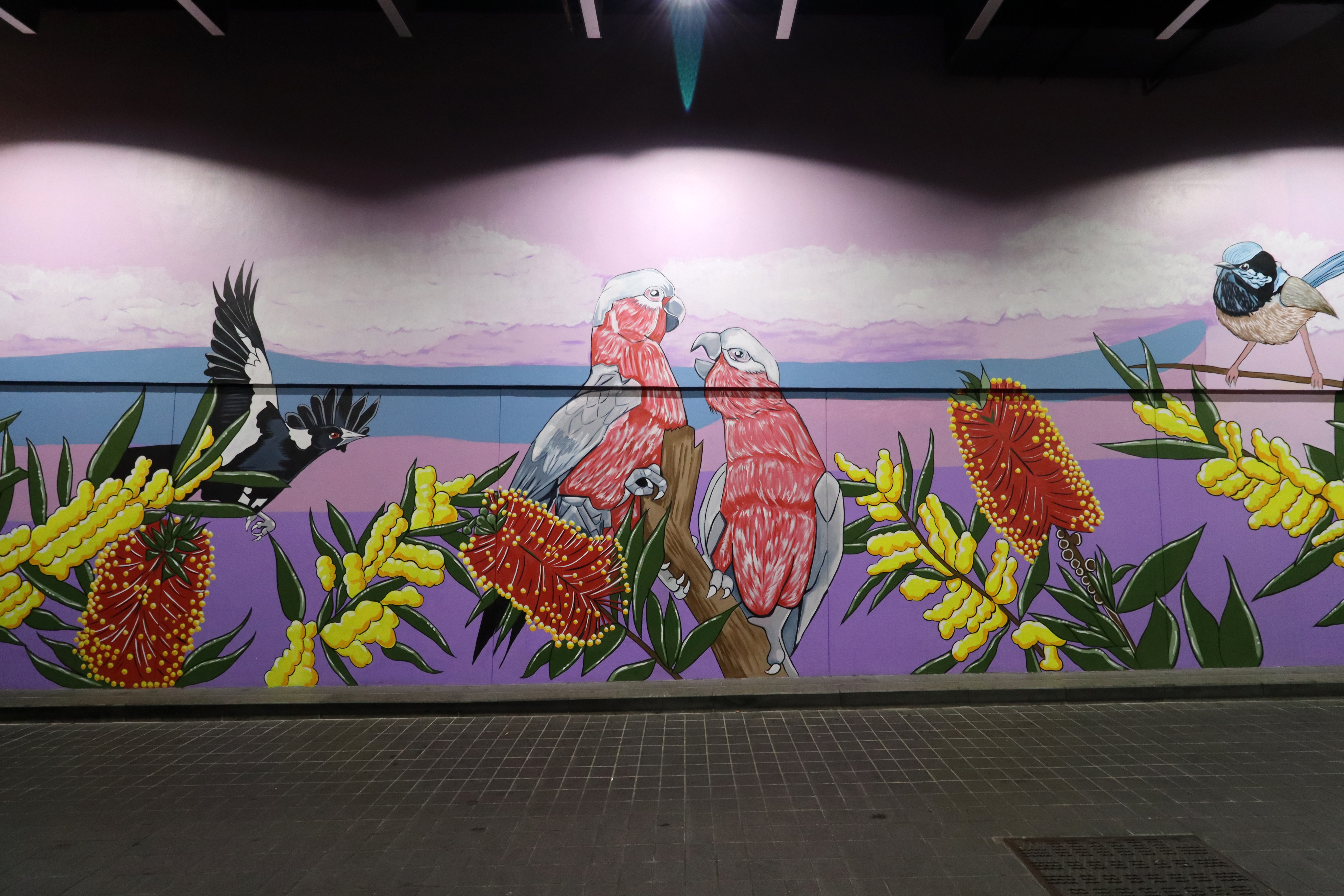 Cheeky Birds by Noni Cragg | Street Art NSW
