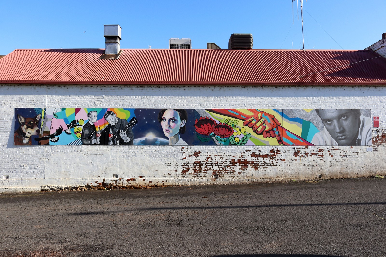Cooke Park Mural by Jac Clark | Street Art NSW