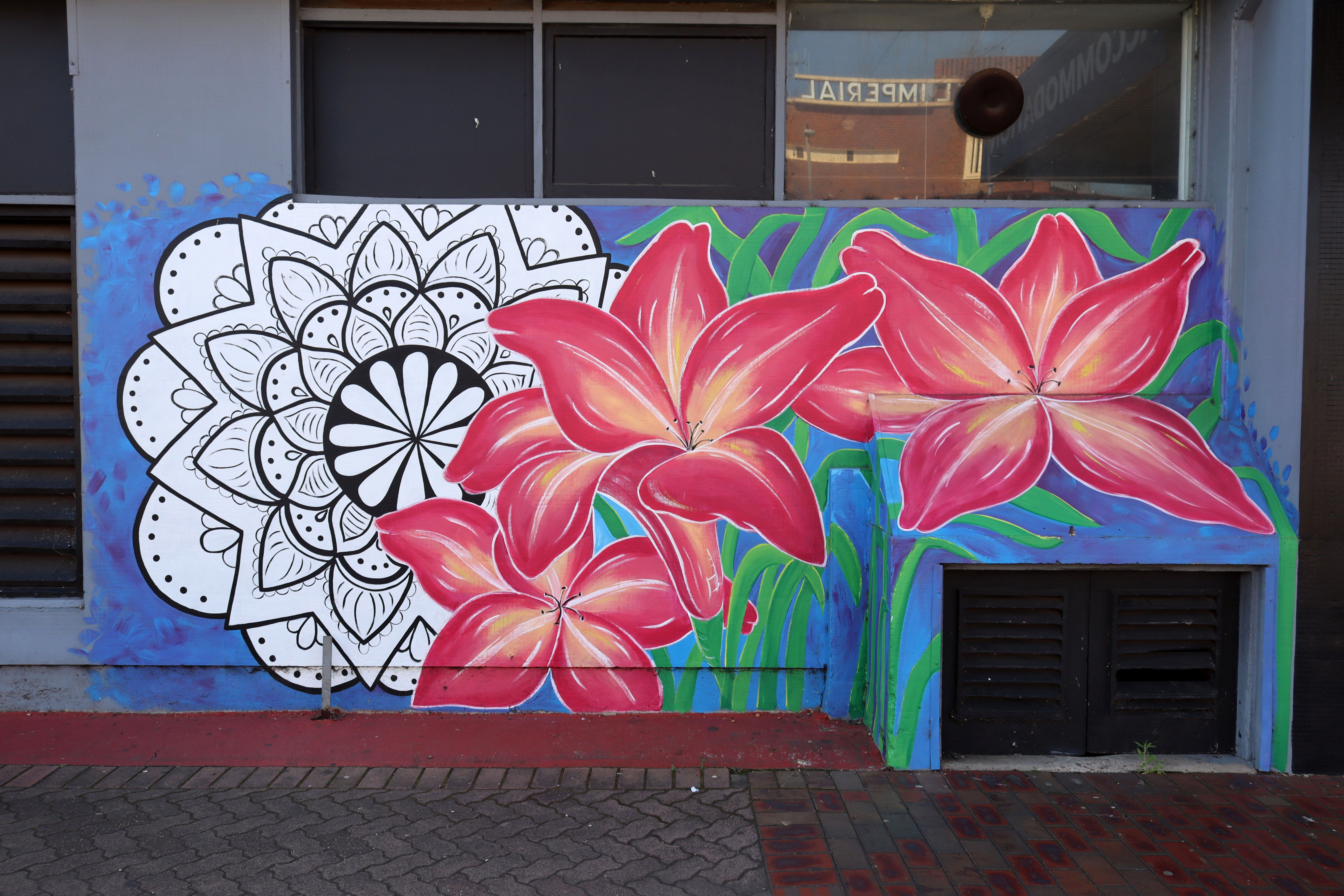 Untitled by Danielle Rawnsley-Galistan | Street Art NSW