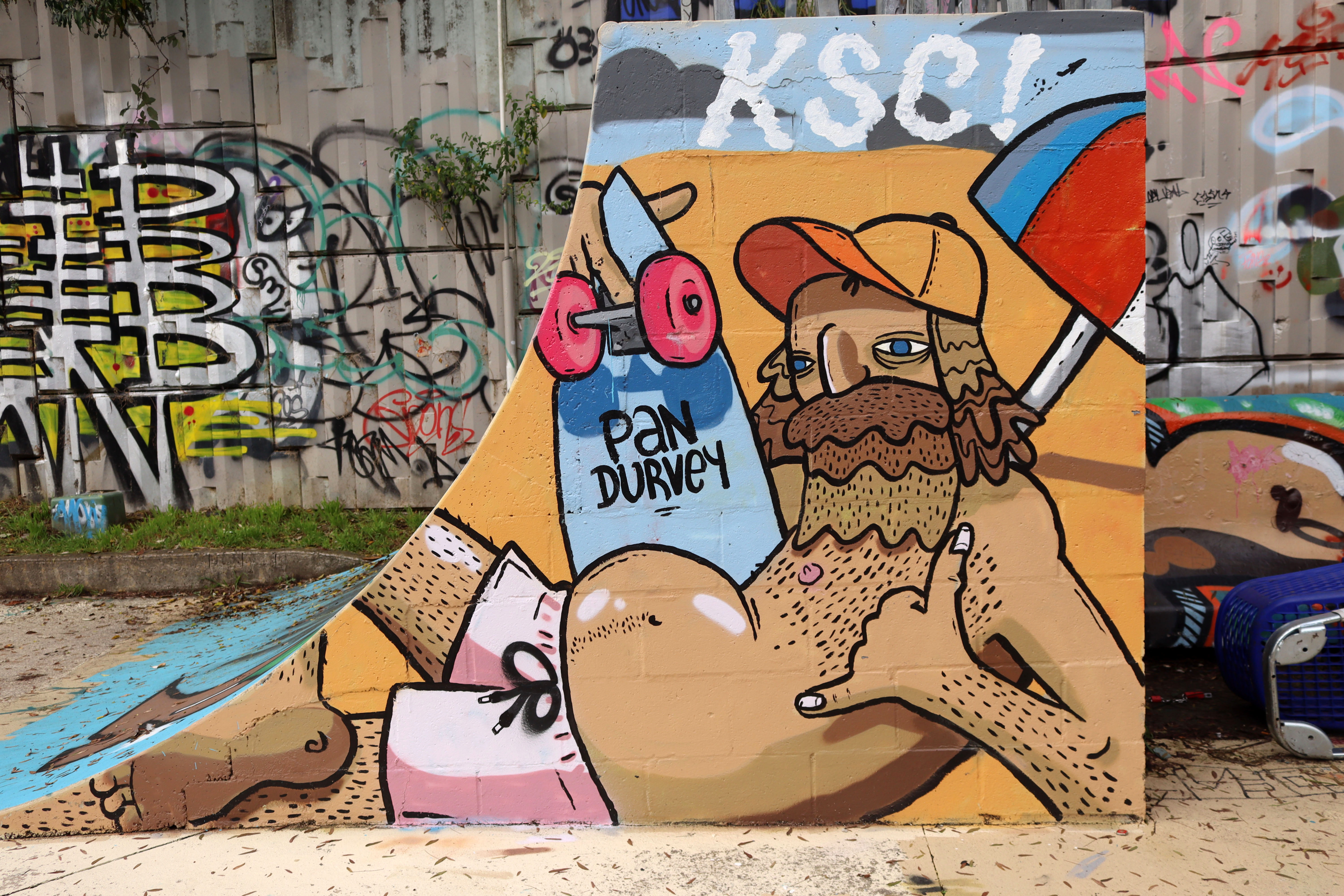 Surfs Up Dude by Pan Durvey | Street Art NSW