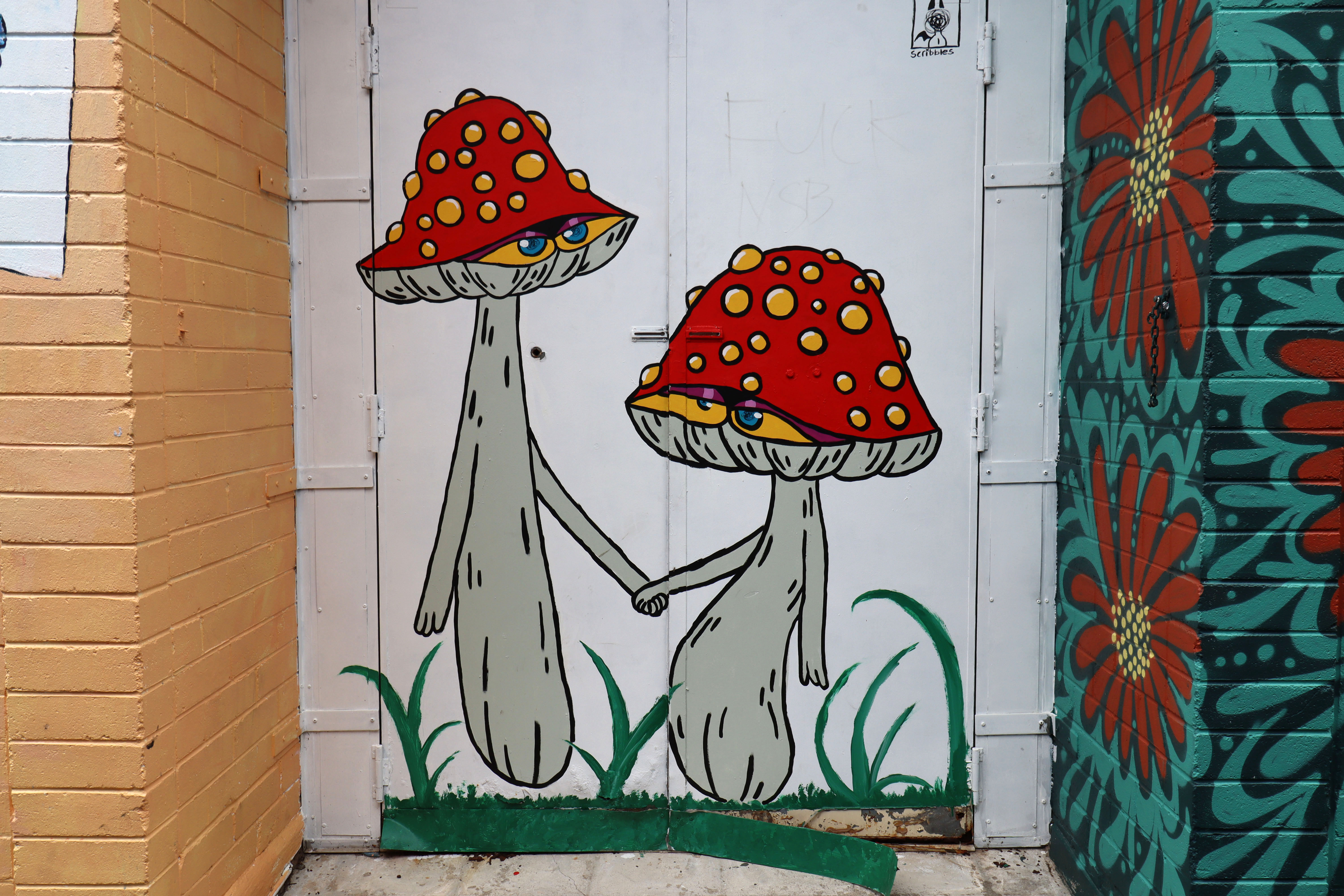 Untitled by Scribbles | Street Art NSW