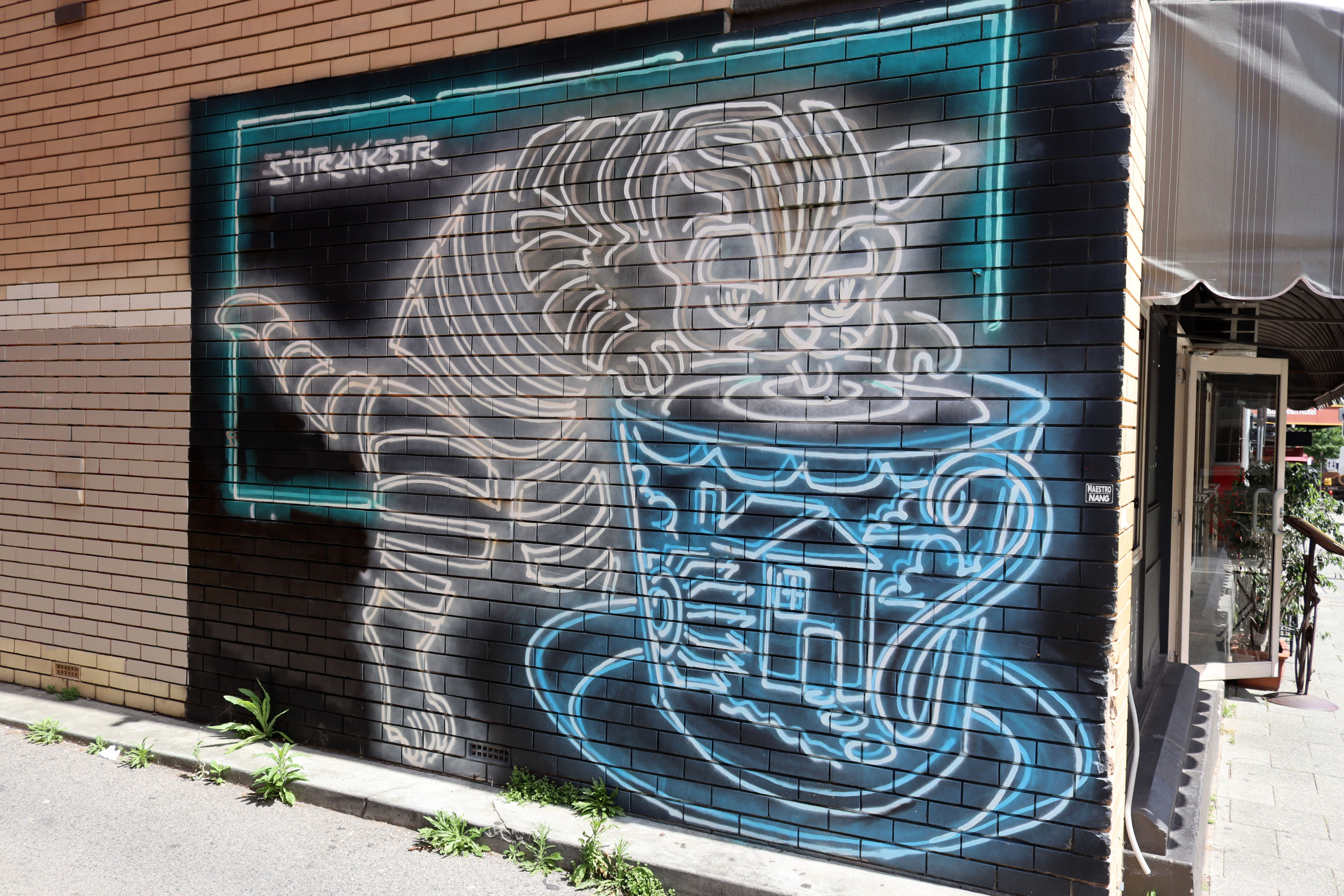 Alley Cat