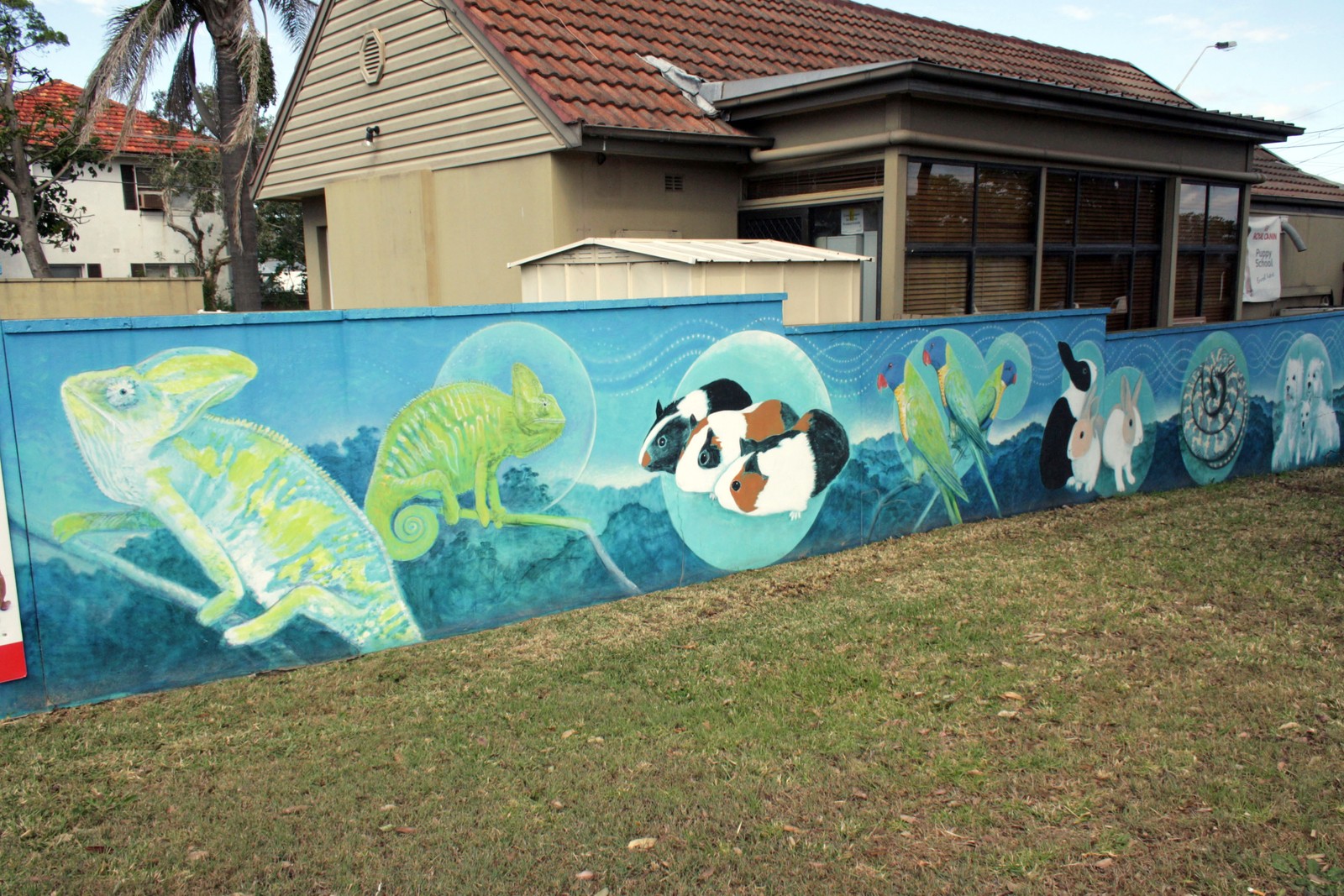 Northern Districts Veterinary Hospital by Robin Martin | Street Art NSW