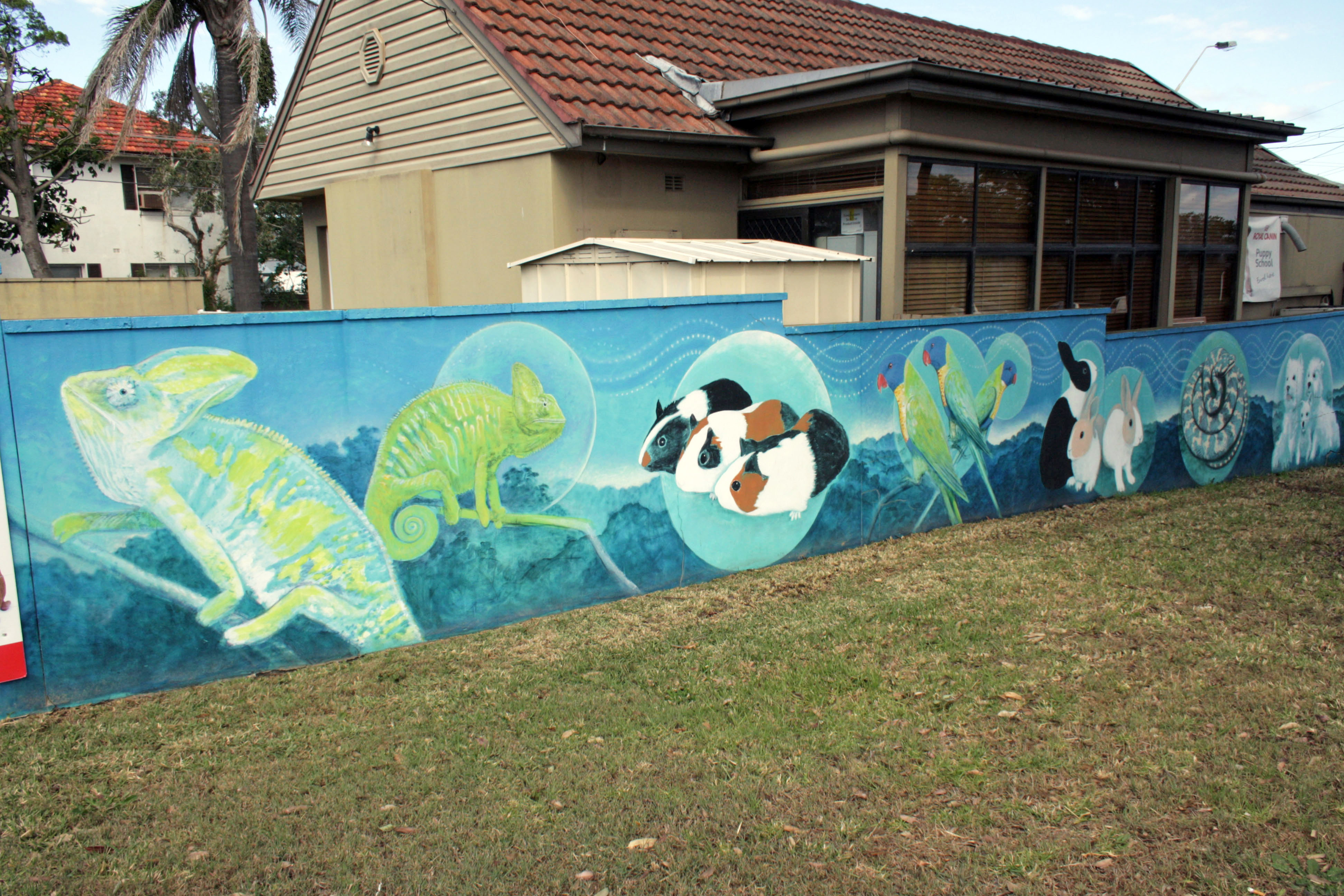Northern Districts Veterinary Hospital by Robin Martin | Street Art NSW