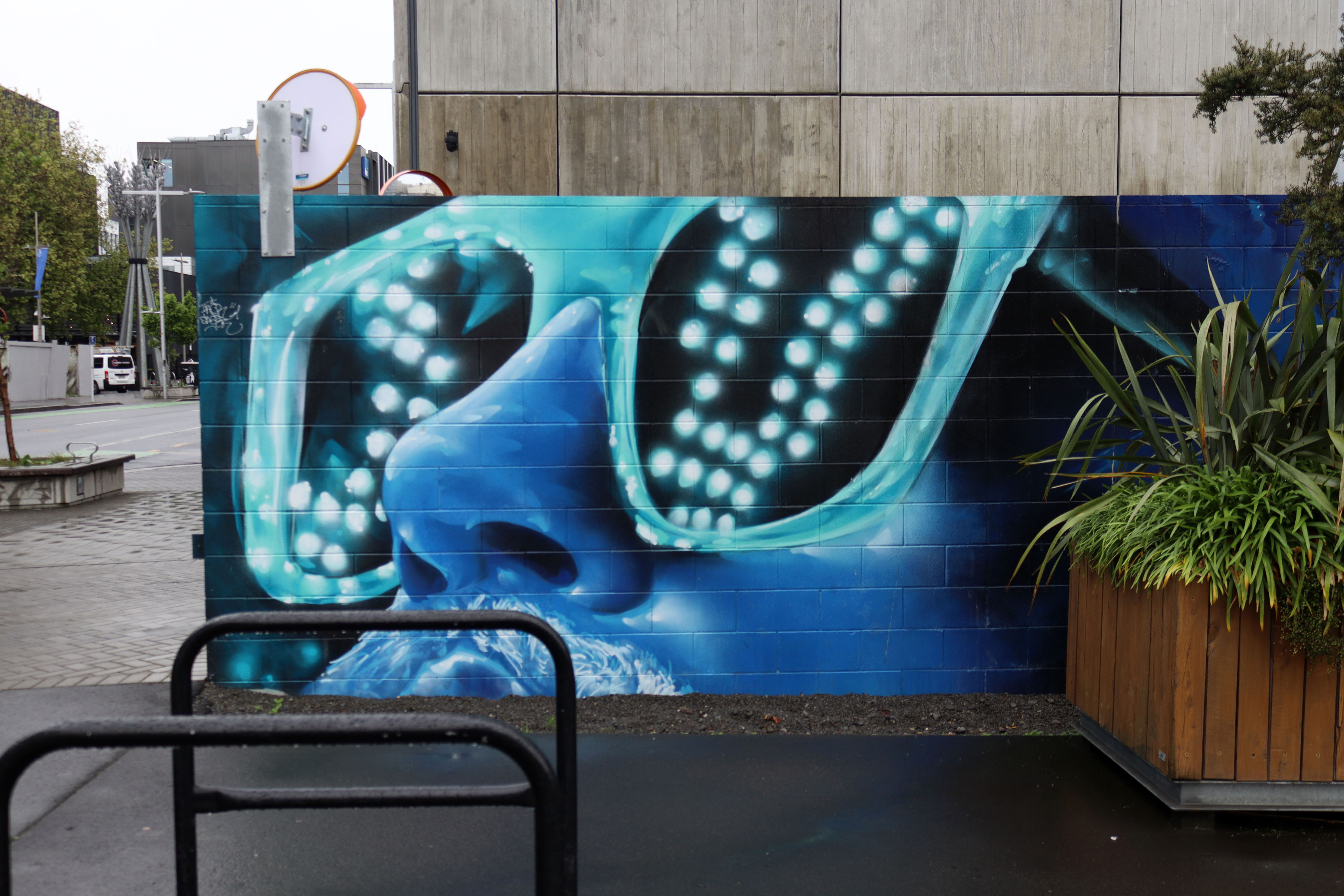 Spark Lane by Wongi 'Freak' Wilson | Street Art NSW