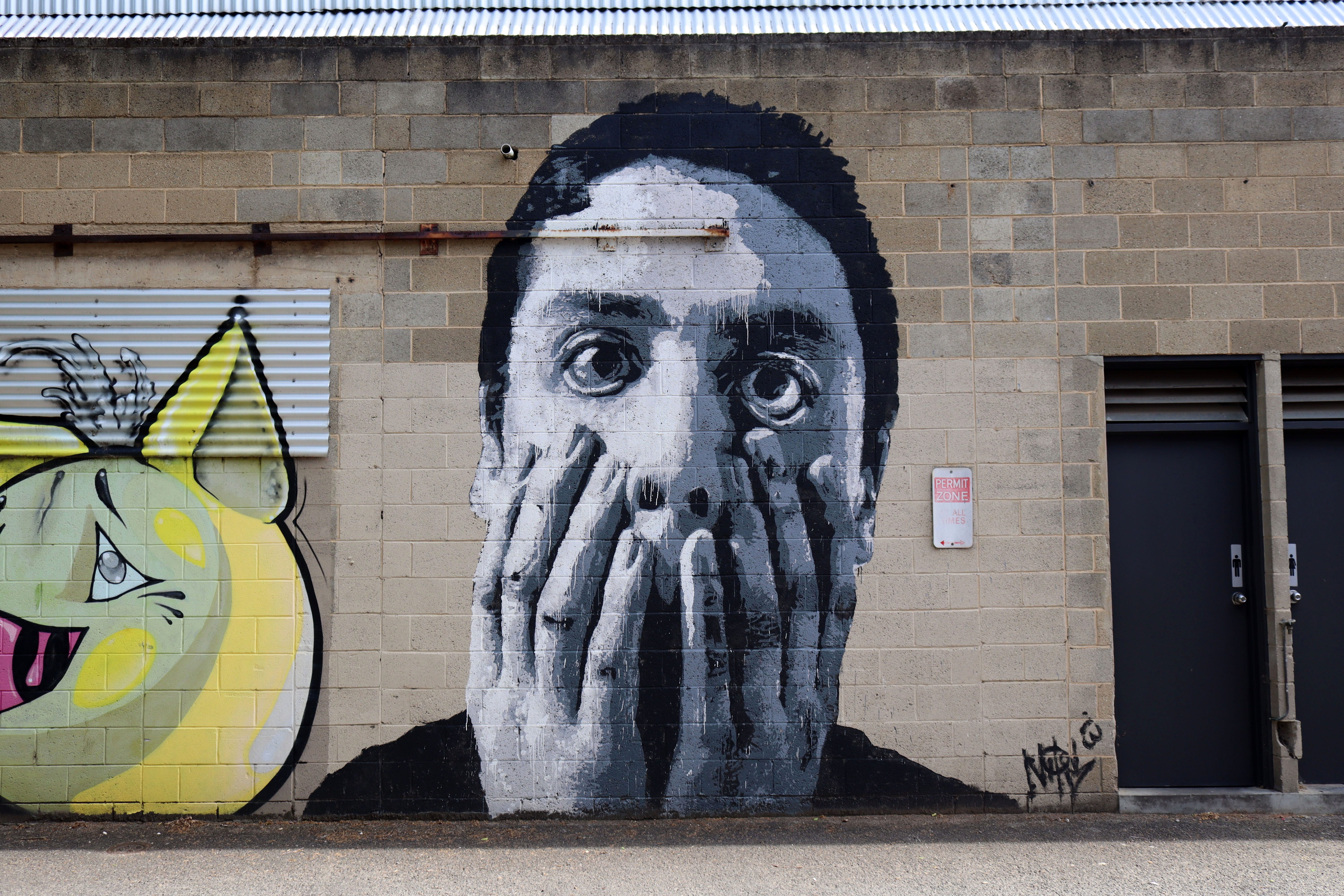 Lance by Nils Westergard | Street Art NSW