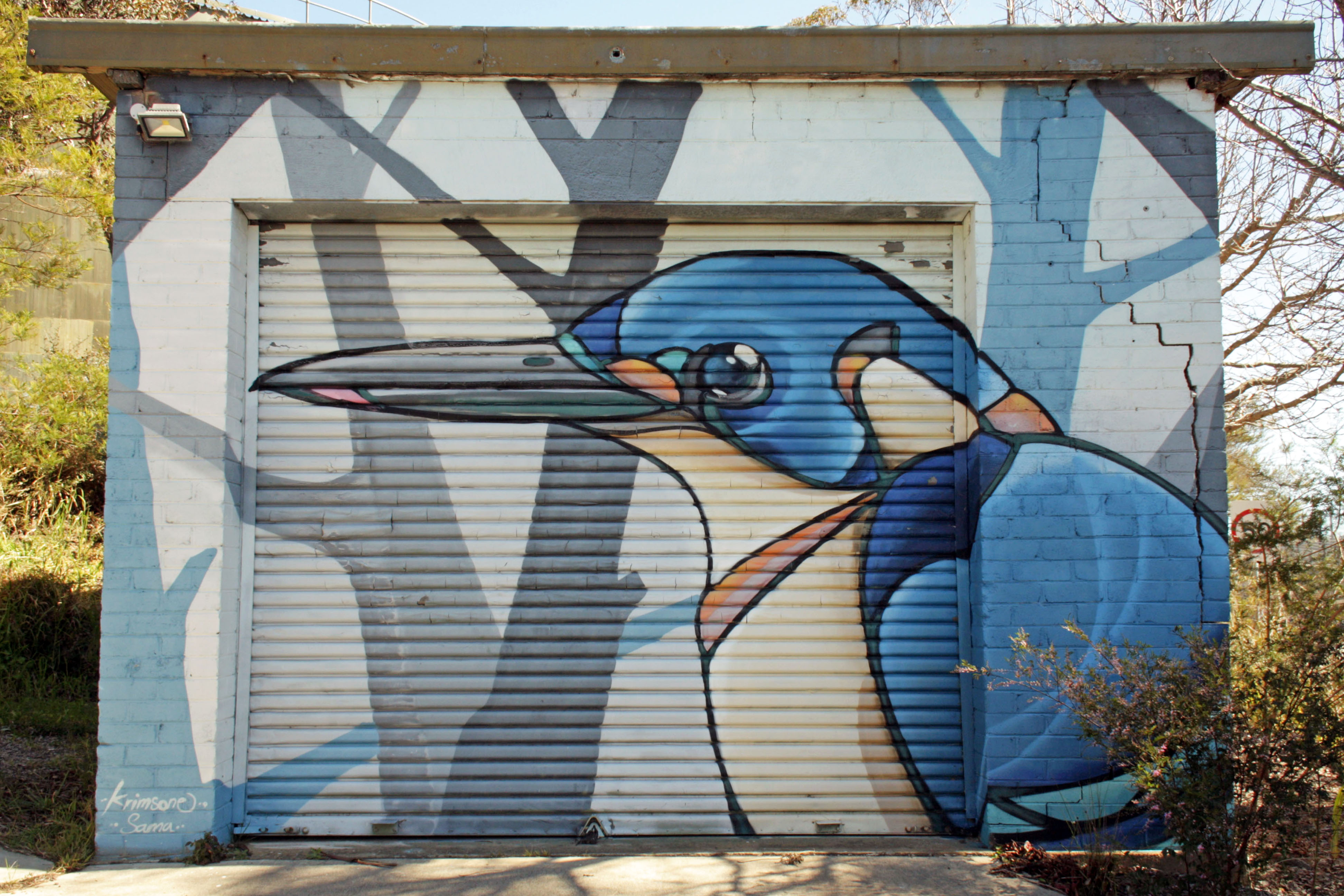 Azure Kingfisher