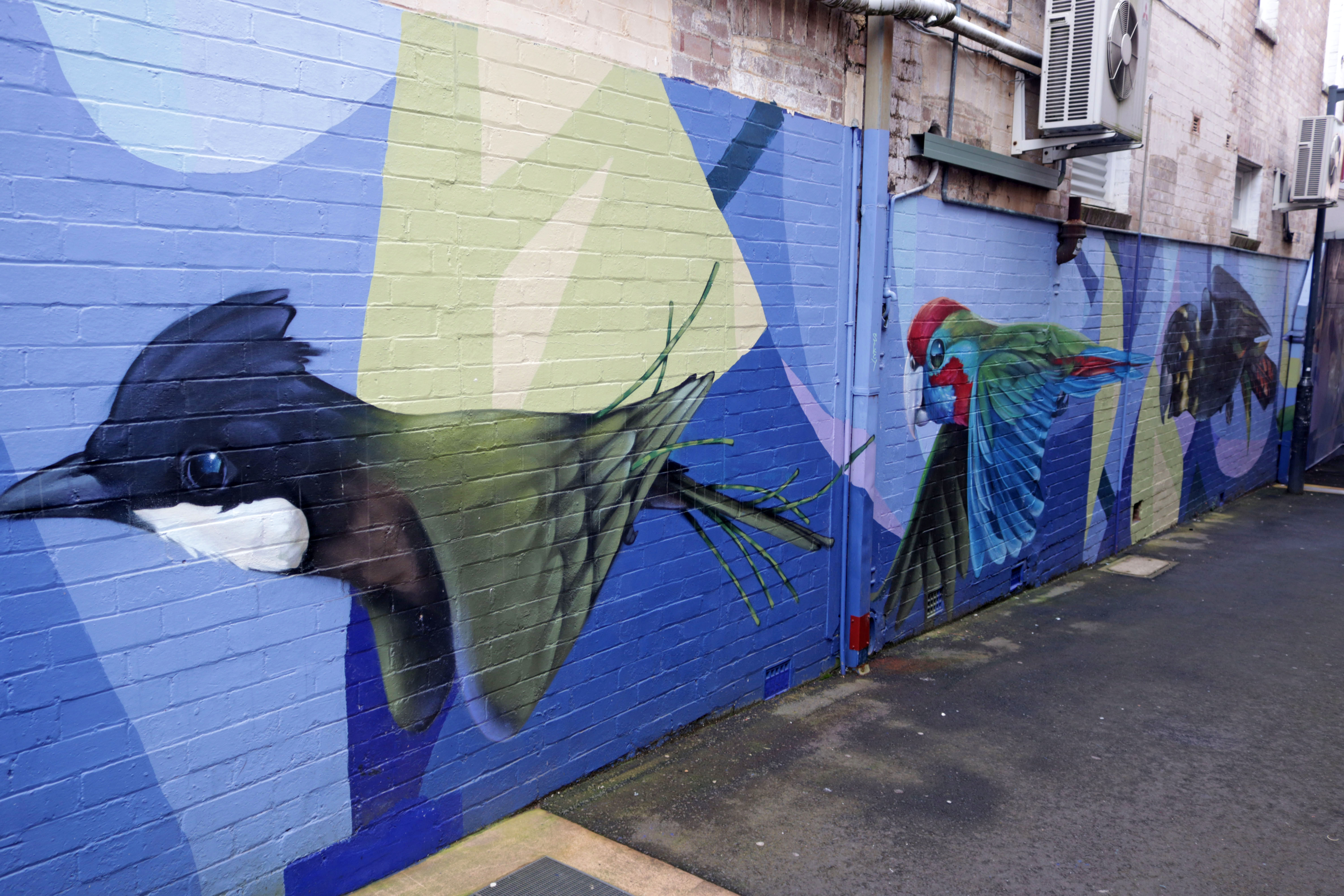 Untitled by Scott Nagy | Street Art NSW