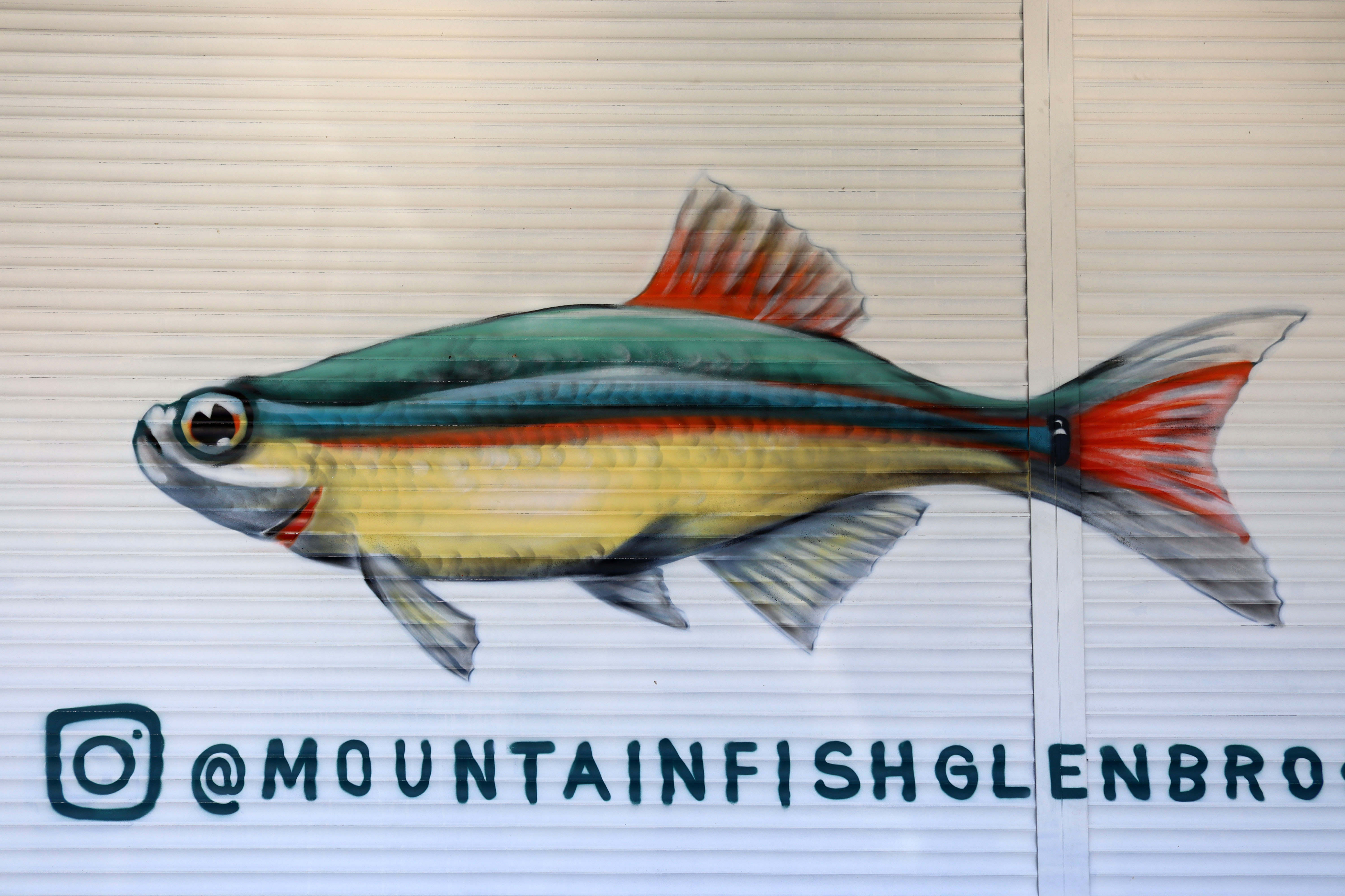 Mountain Fish Glenbrook by OhtisOne | Street Art NSW