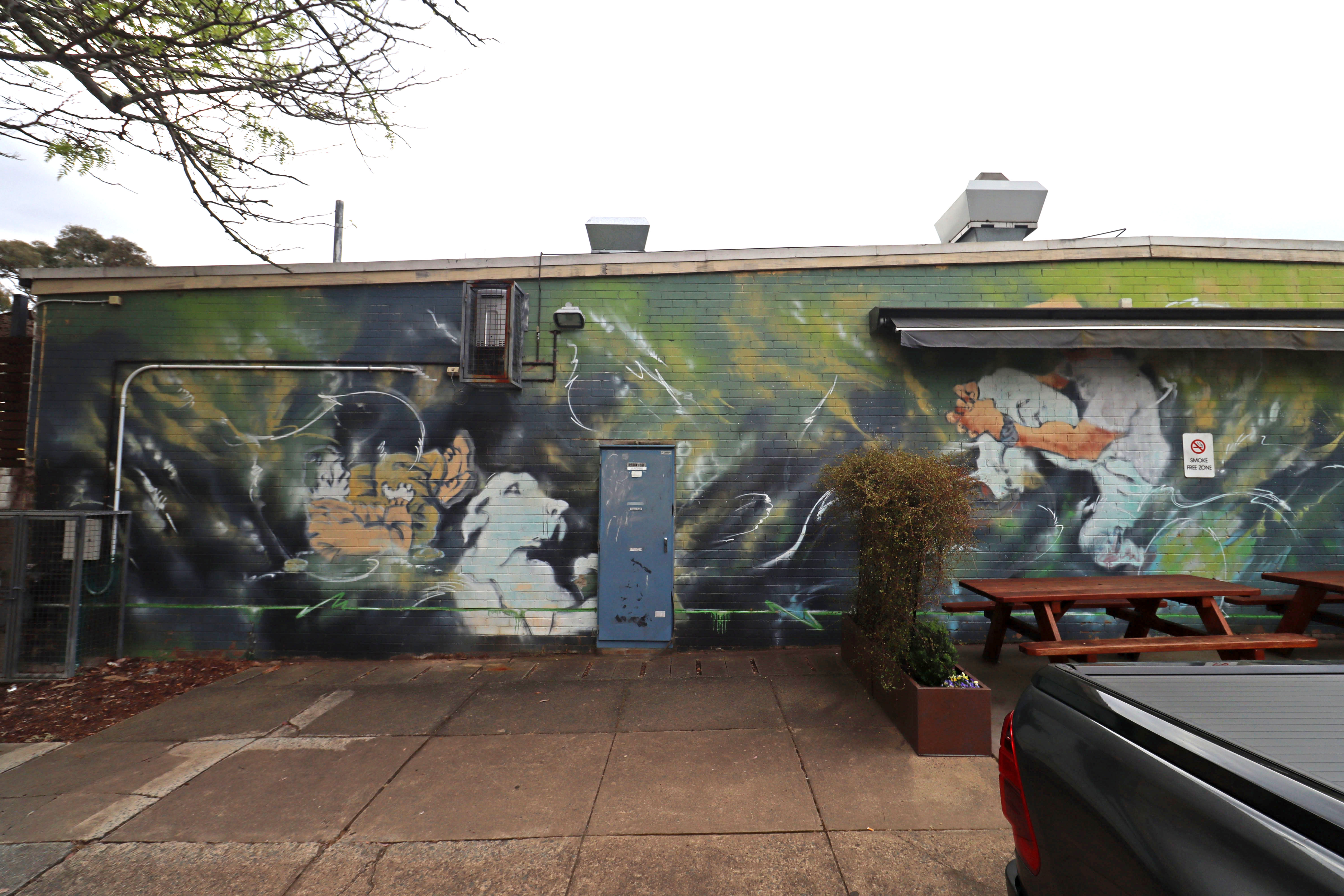 Untitled | Street Art NSW