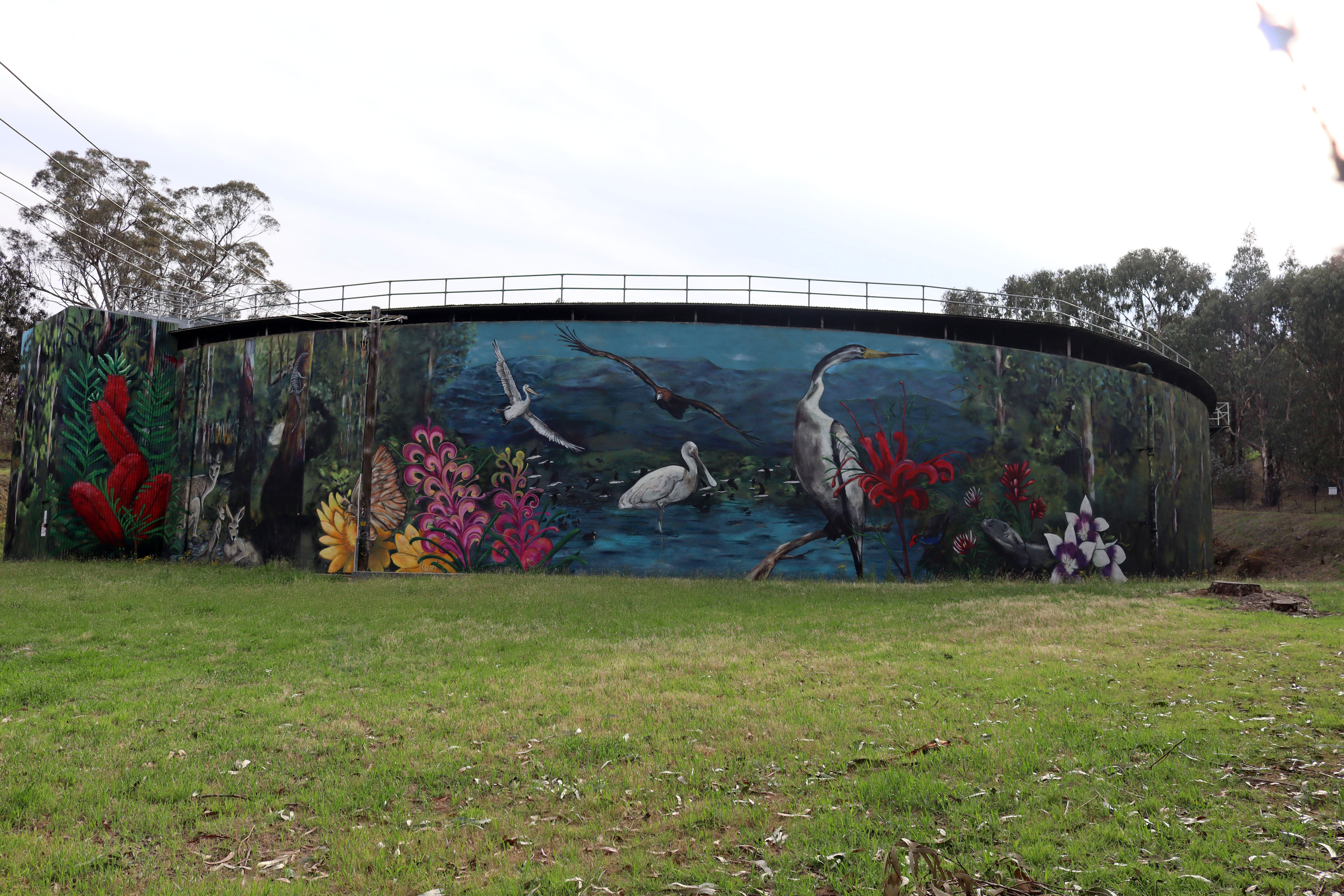 Narrabundah Reservoir by GraffikPaint | Street Art NSW