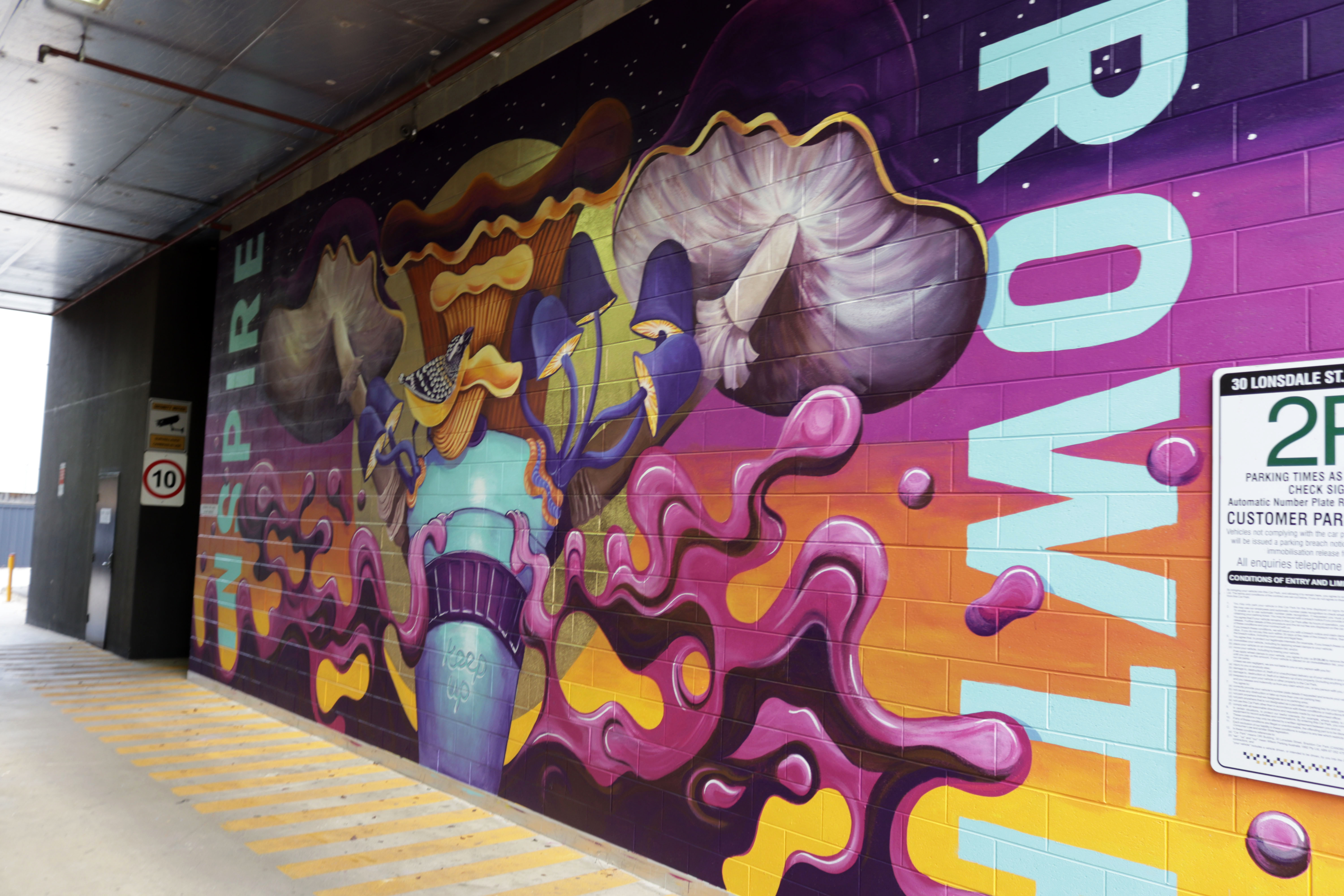Inspire Growth by Bohie | Street Art NSW