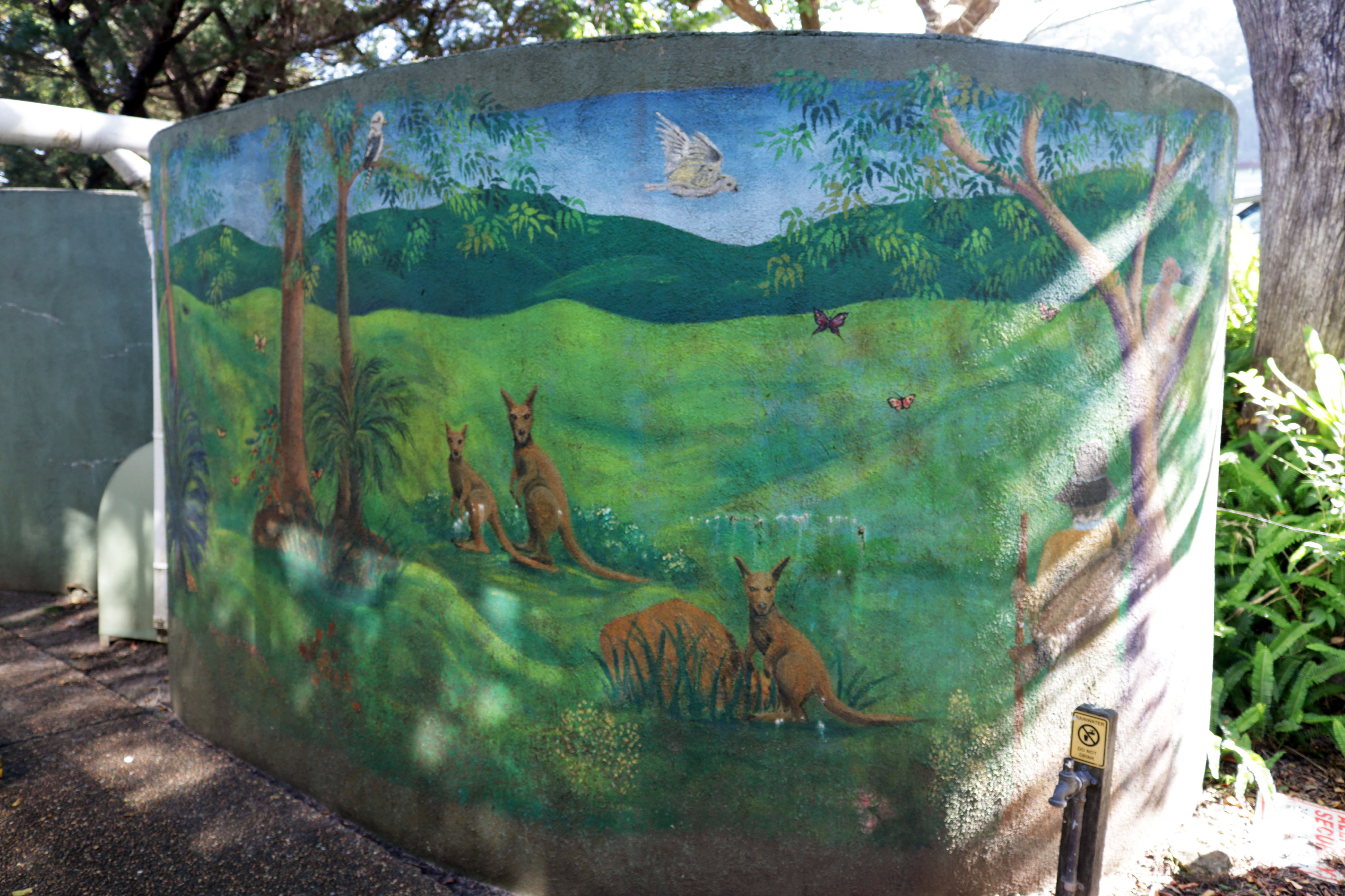 Untitled | Street Art NSW