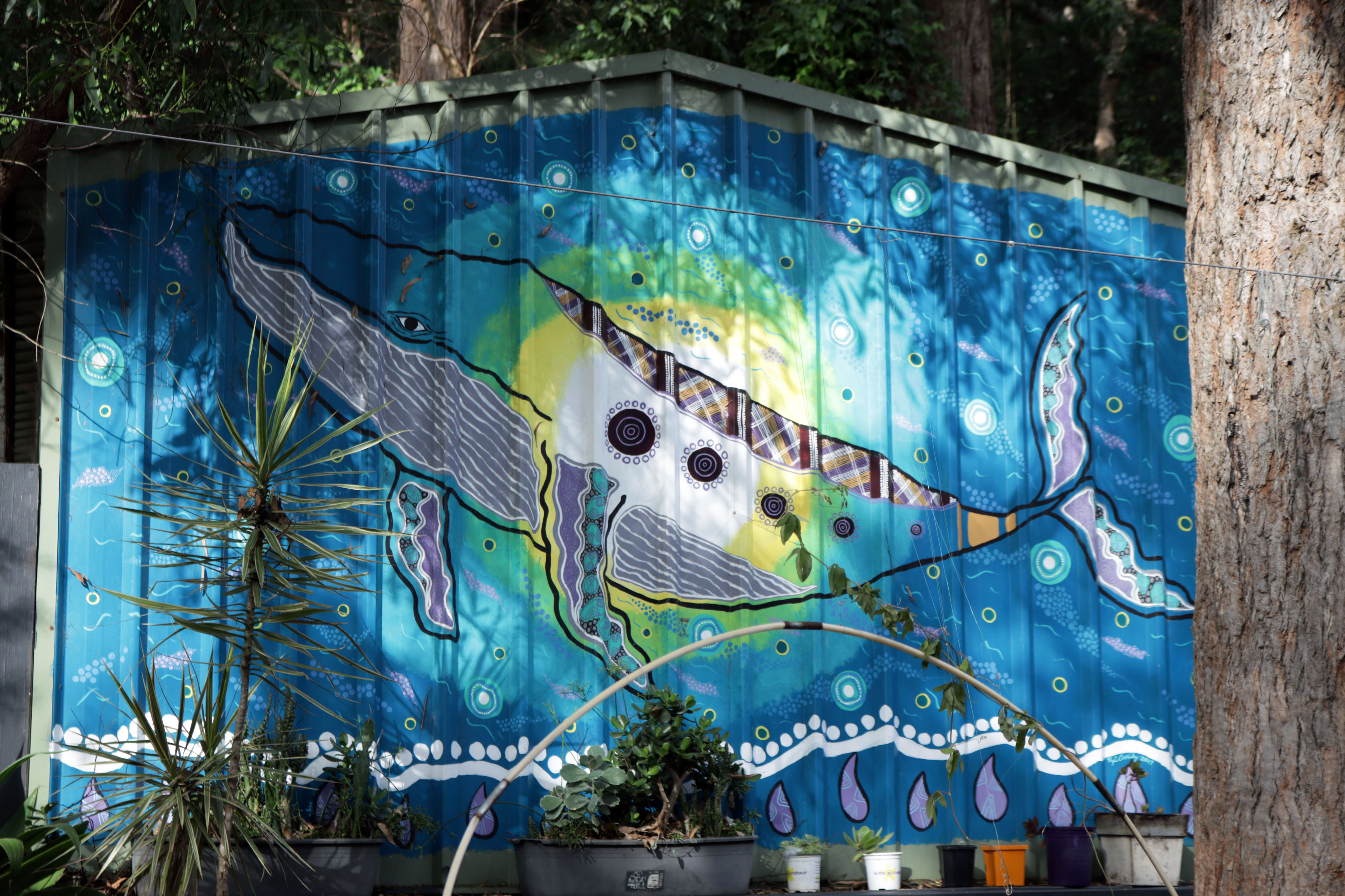 Untitled | Street Art NSW
