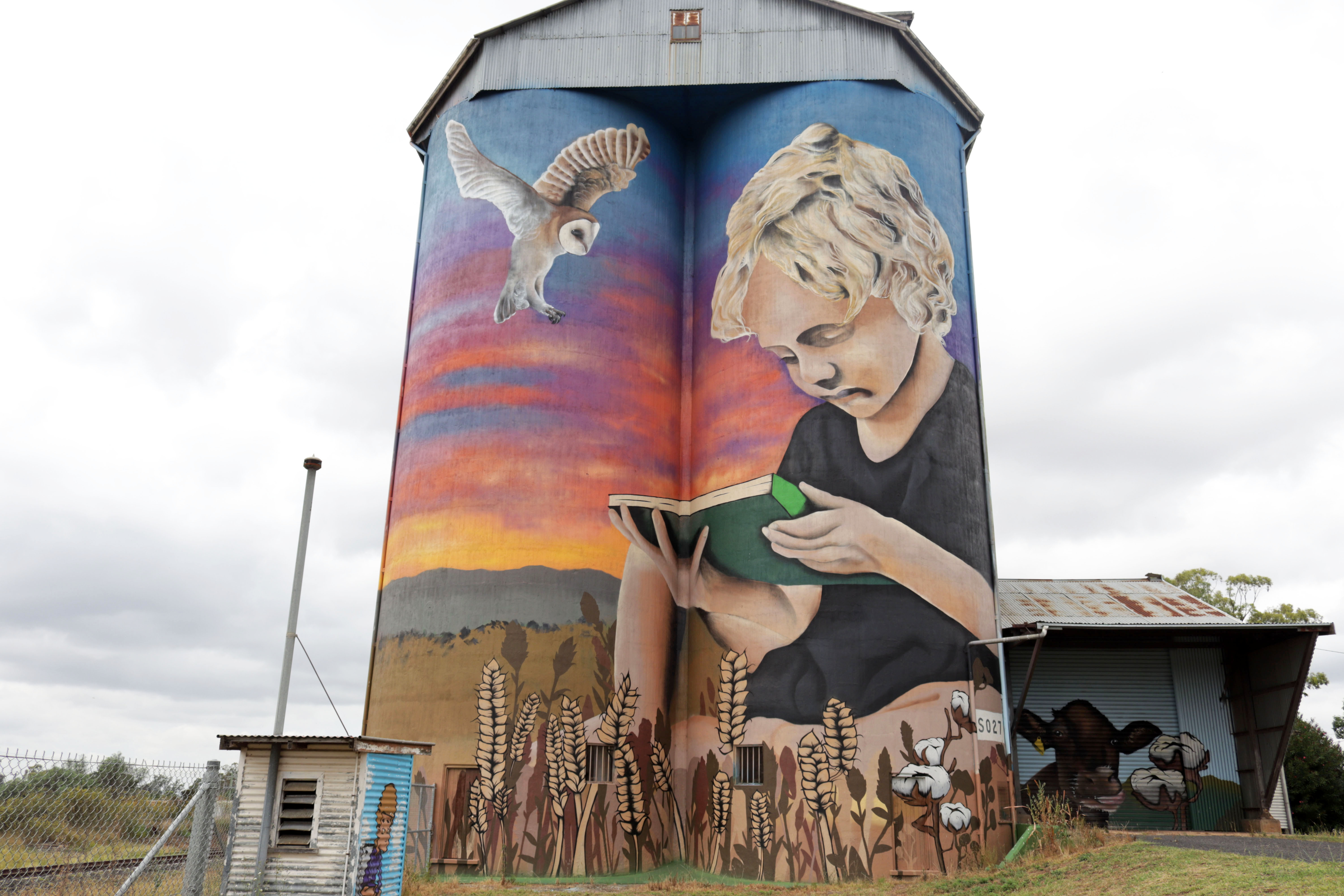 Untitled by Drule | Street Art NSW
