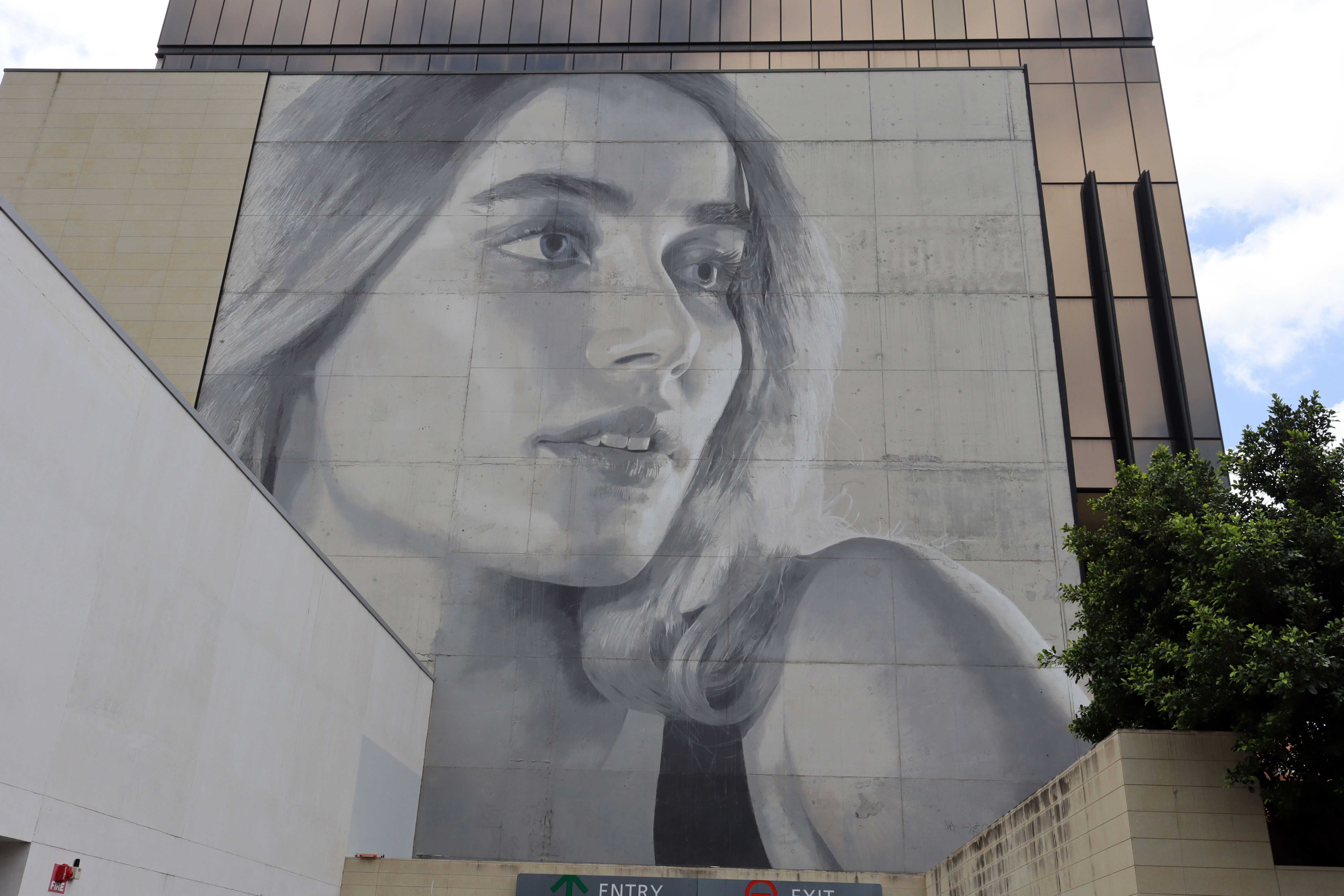 Hibernian Place Muse by Rone | Street Art NSW