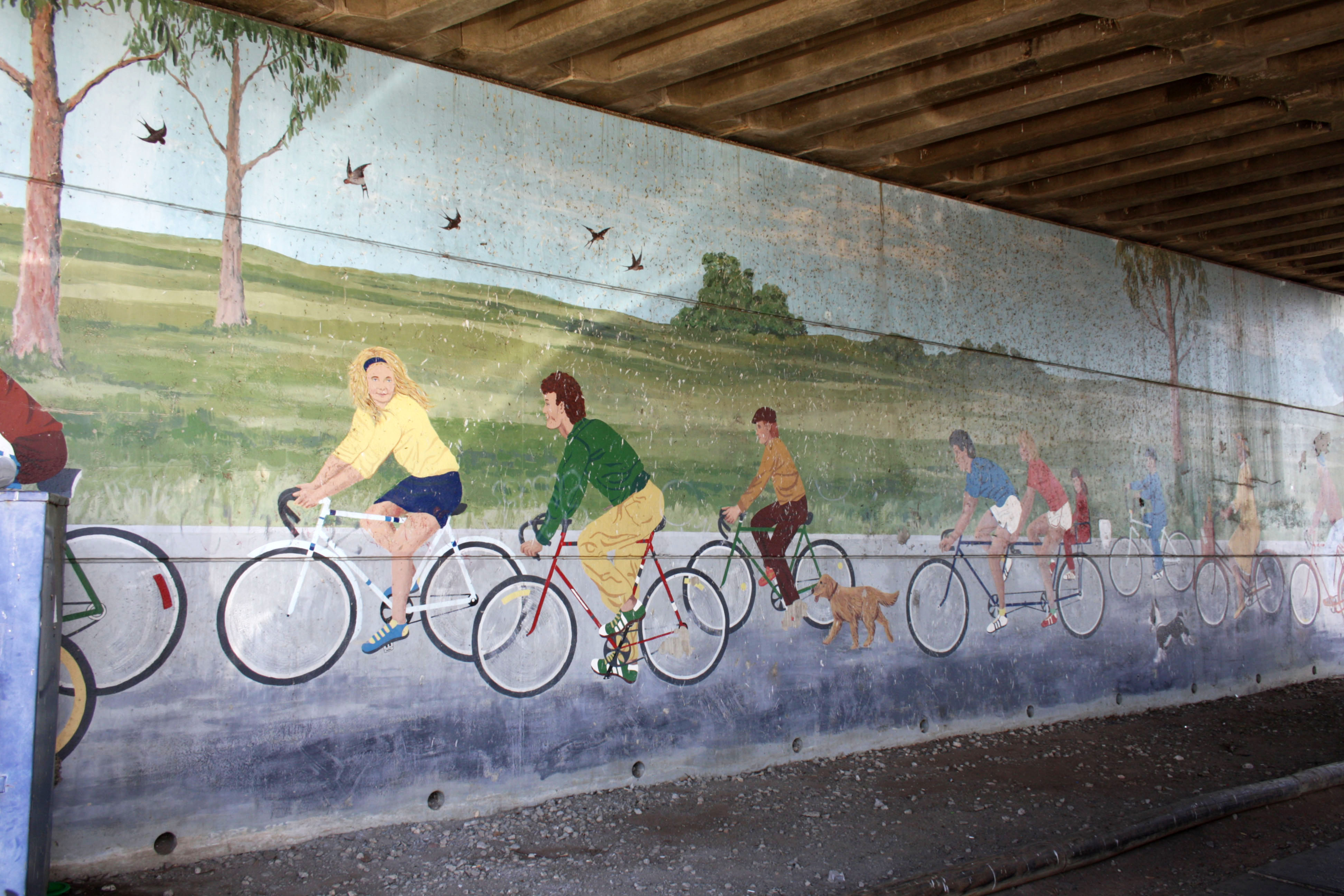 Life Cycle by Batool Korkiss | Street Art NSW