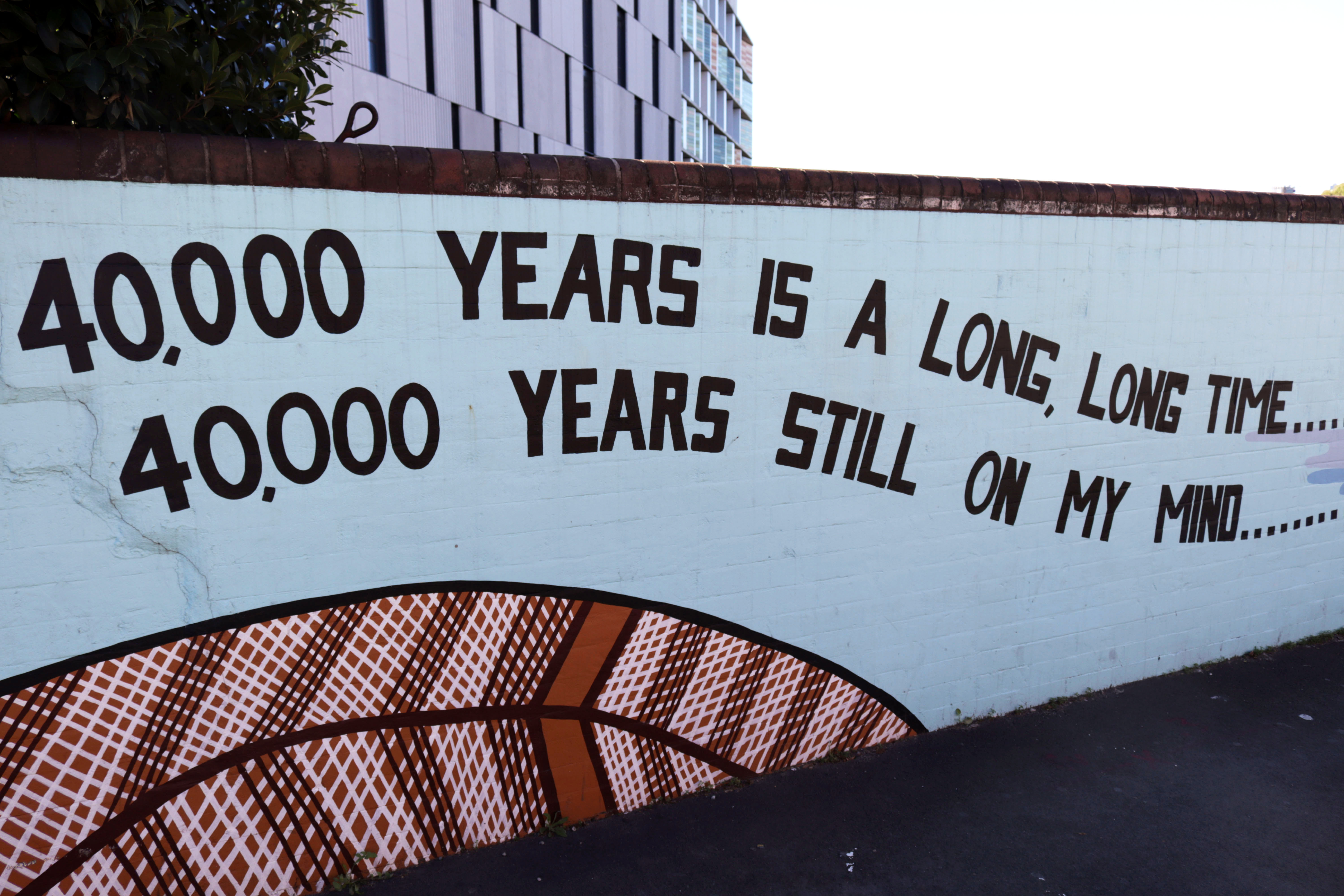40,000 Years by Carol Ruff | Street Art NSW