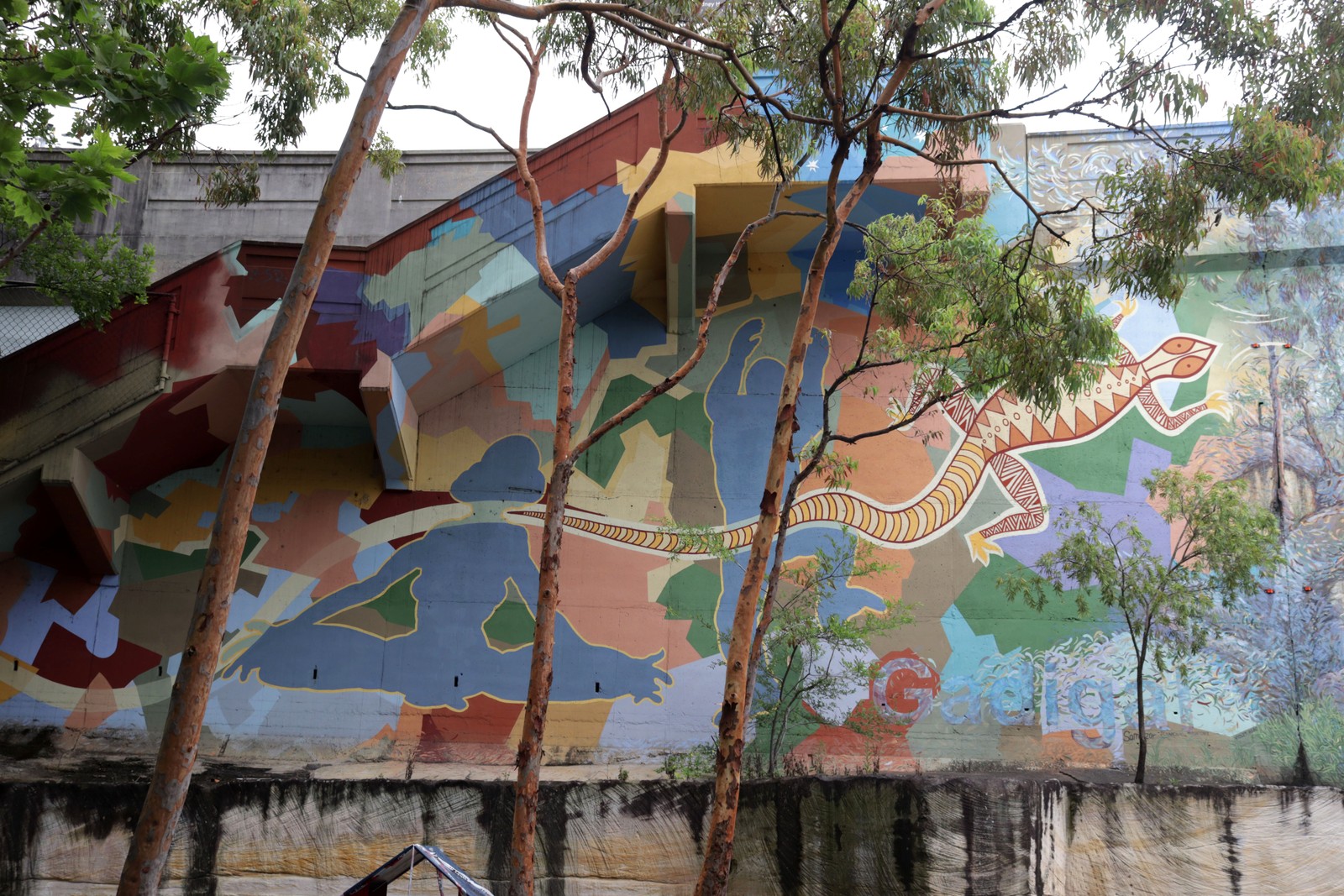 KGV Mural - Dreaming by Peter Day | Street Art NSW