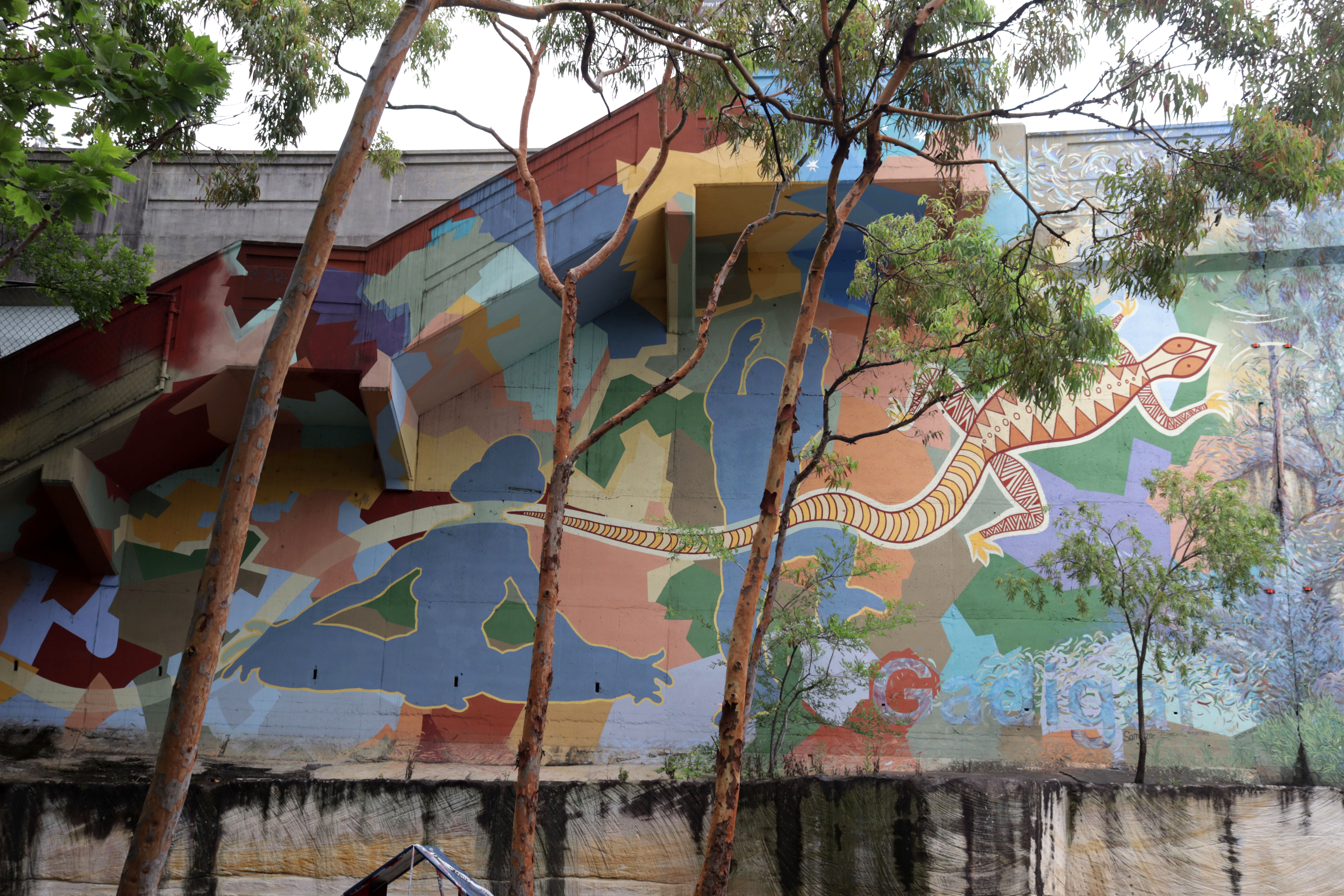 KGV Mural - Dreaming by Peter Day | Street Art NSW