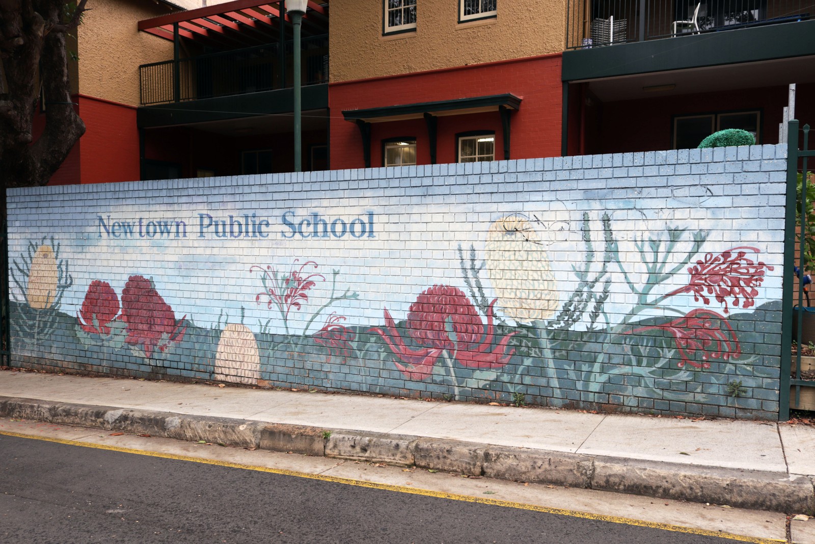 Newtown Public School | Street Art NSW