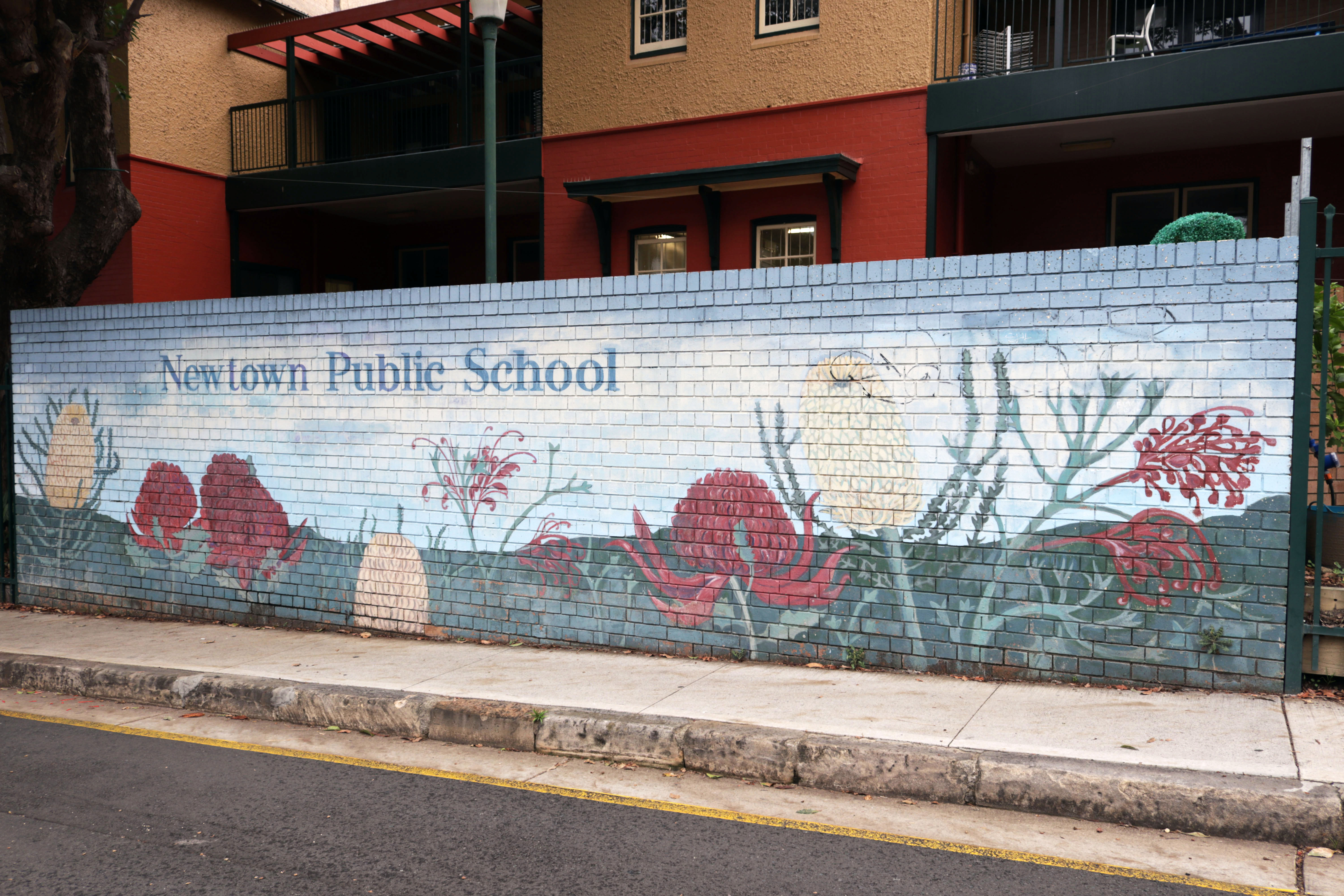 Newtown Public School | Street Art NSW